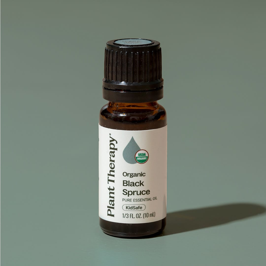 Organic Black Spruce Essential Oil Plant Therapy