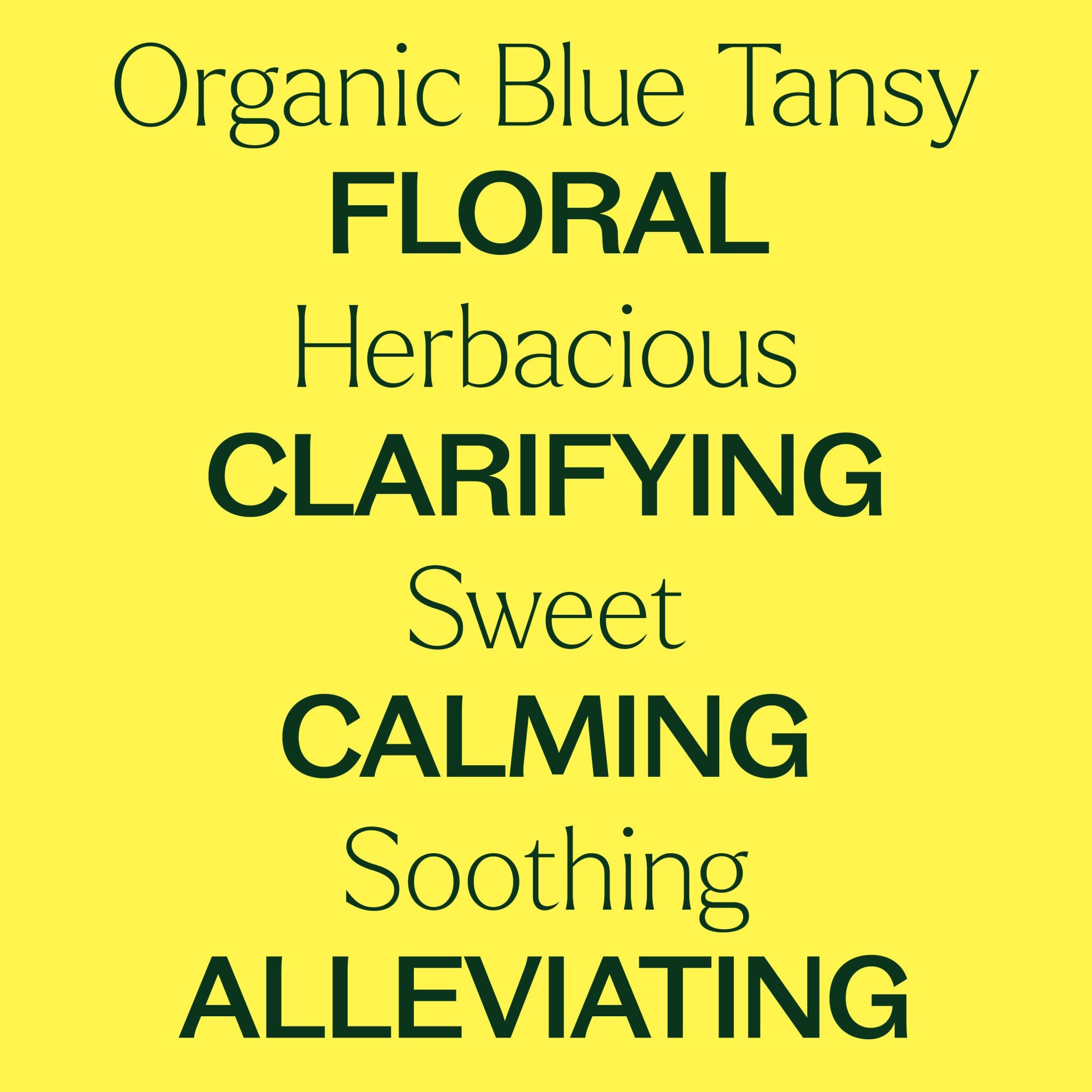 Organic Blue Tansy Essential Oil Plant Therapy