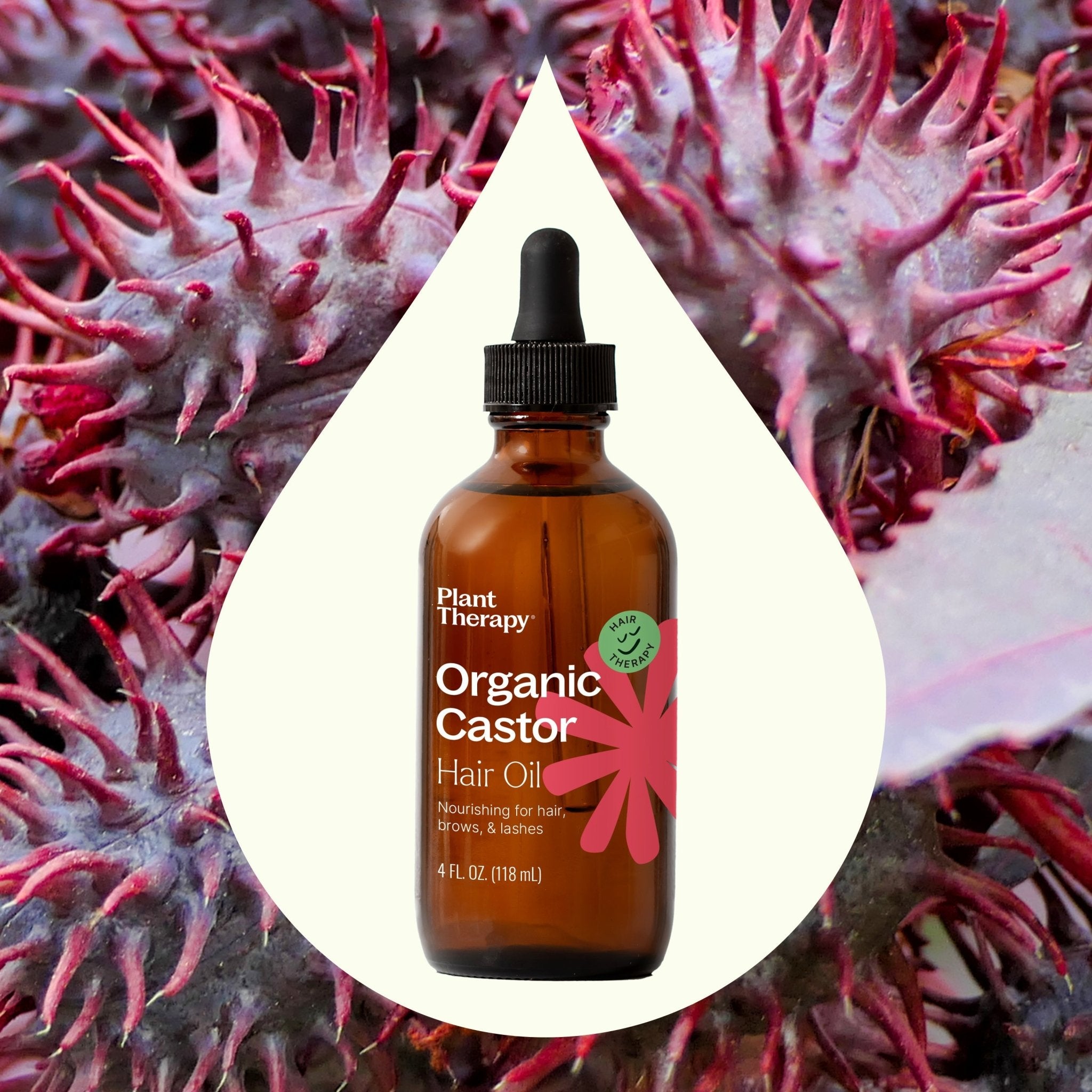 Organic Castor Oil Plant Therapy