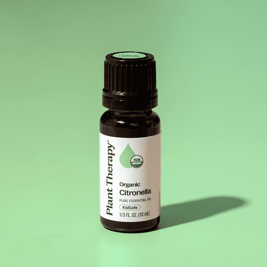 Organic Citronella Essential Oil Plant Therapy