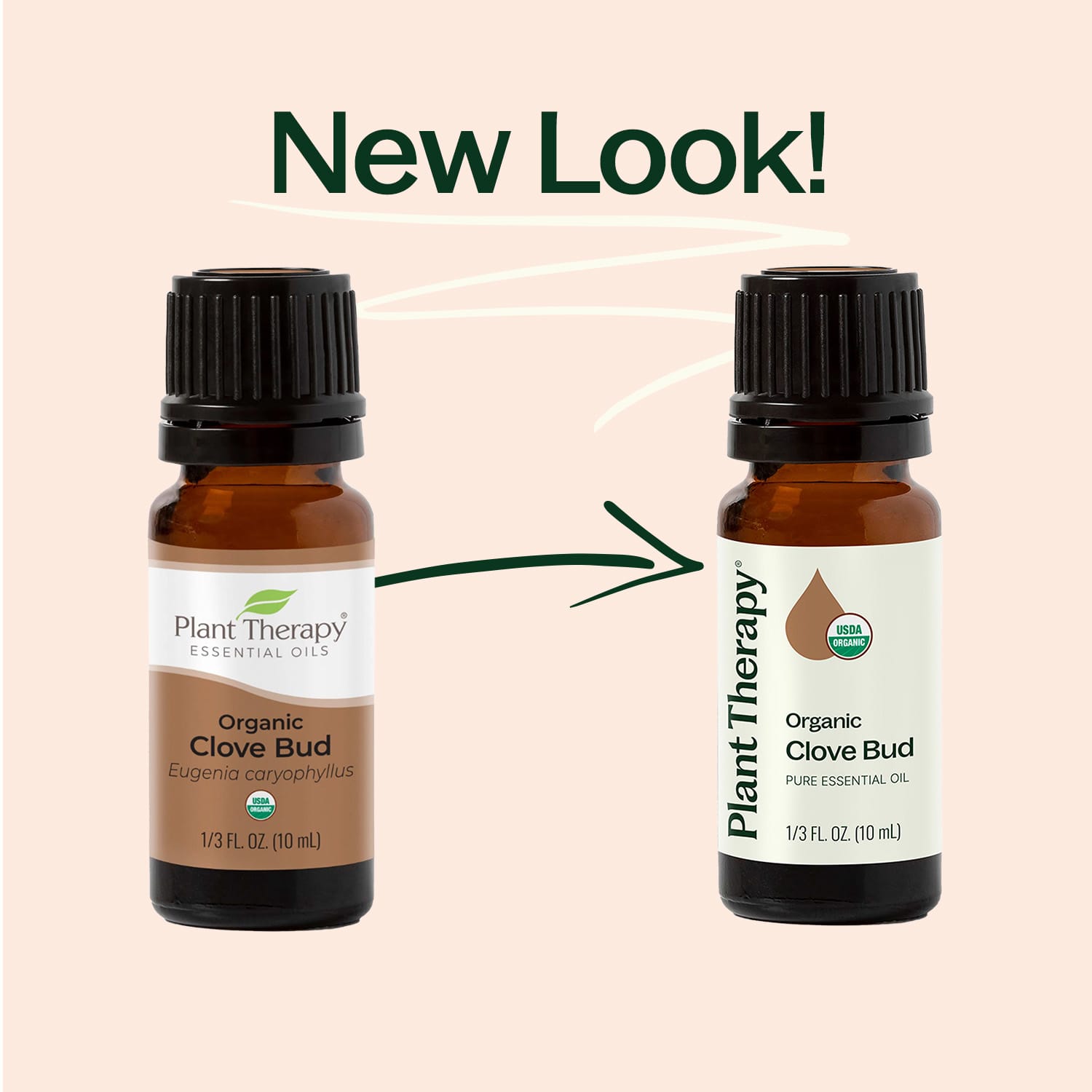 Organic Clove Bud Essential Oil Plant Therapy