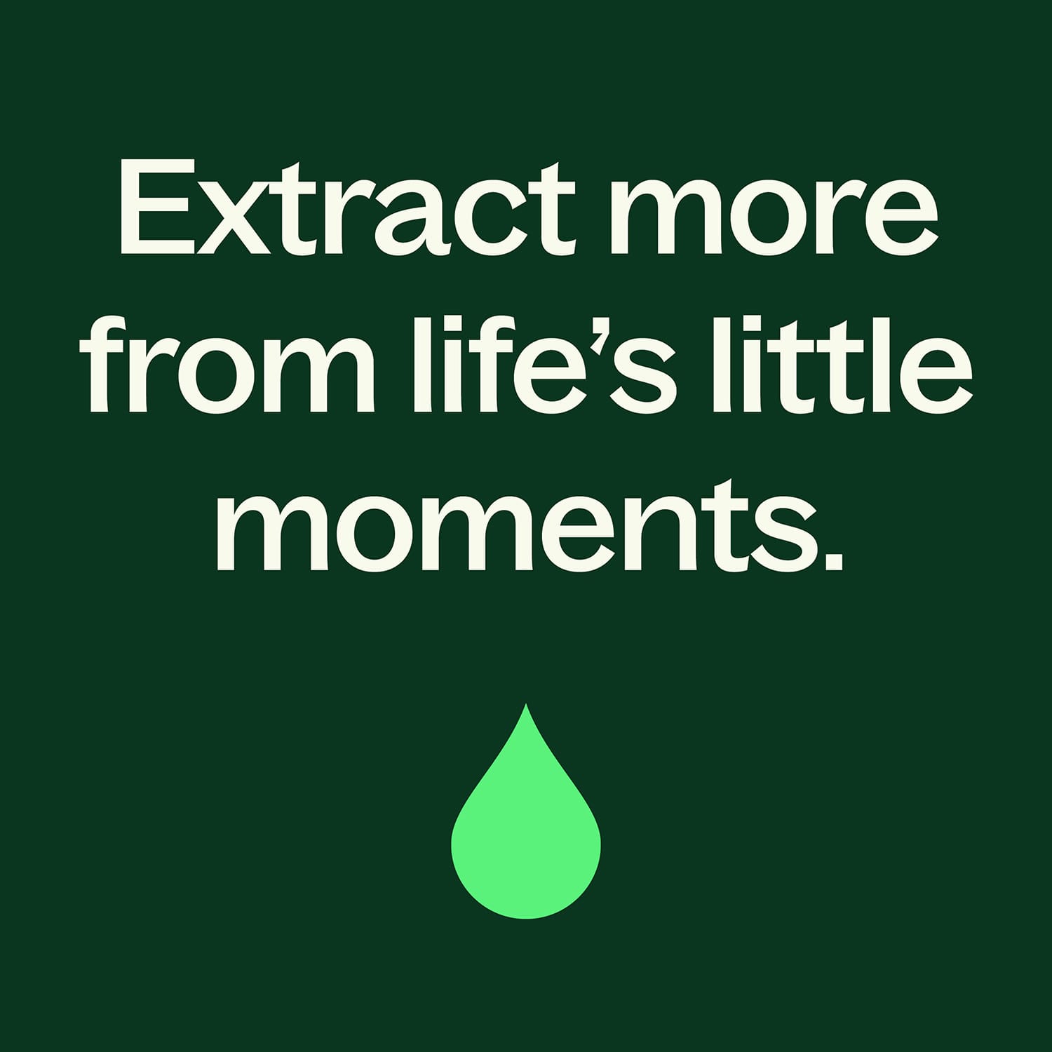 Organic Clove Bud Essential Oil Plant Therapy