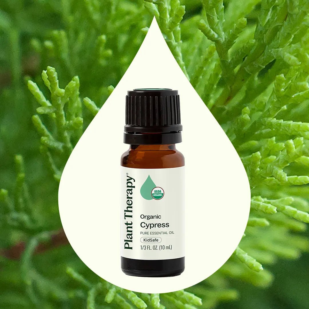 Organic Cypress Essential Oil Plant Therapy