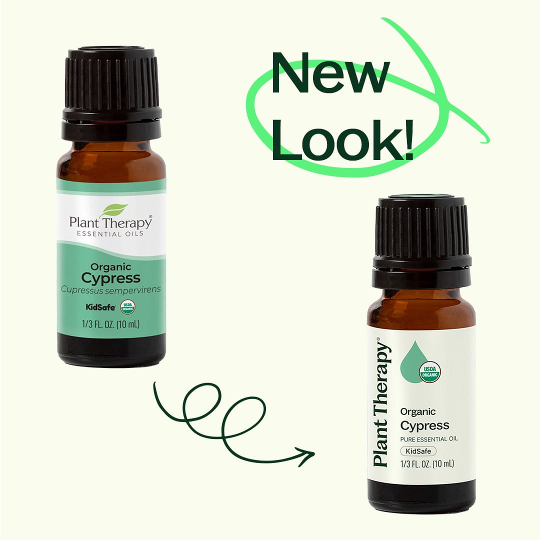Organic Cypress Essential Oil Plant Therapy