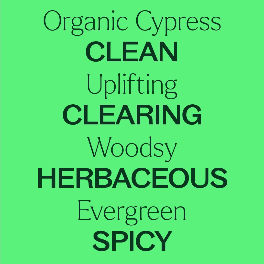 Organic Cypress Essential Oil Plant Therapy