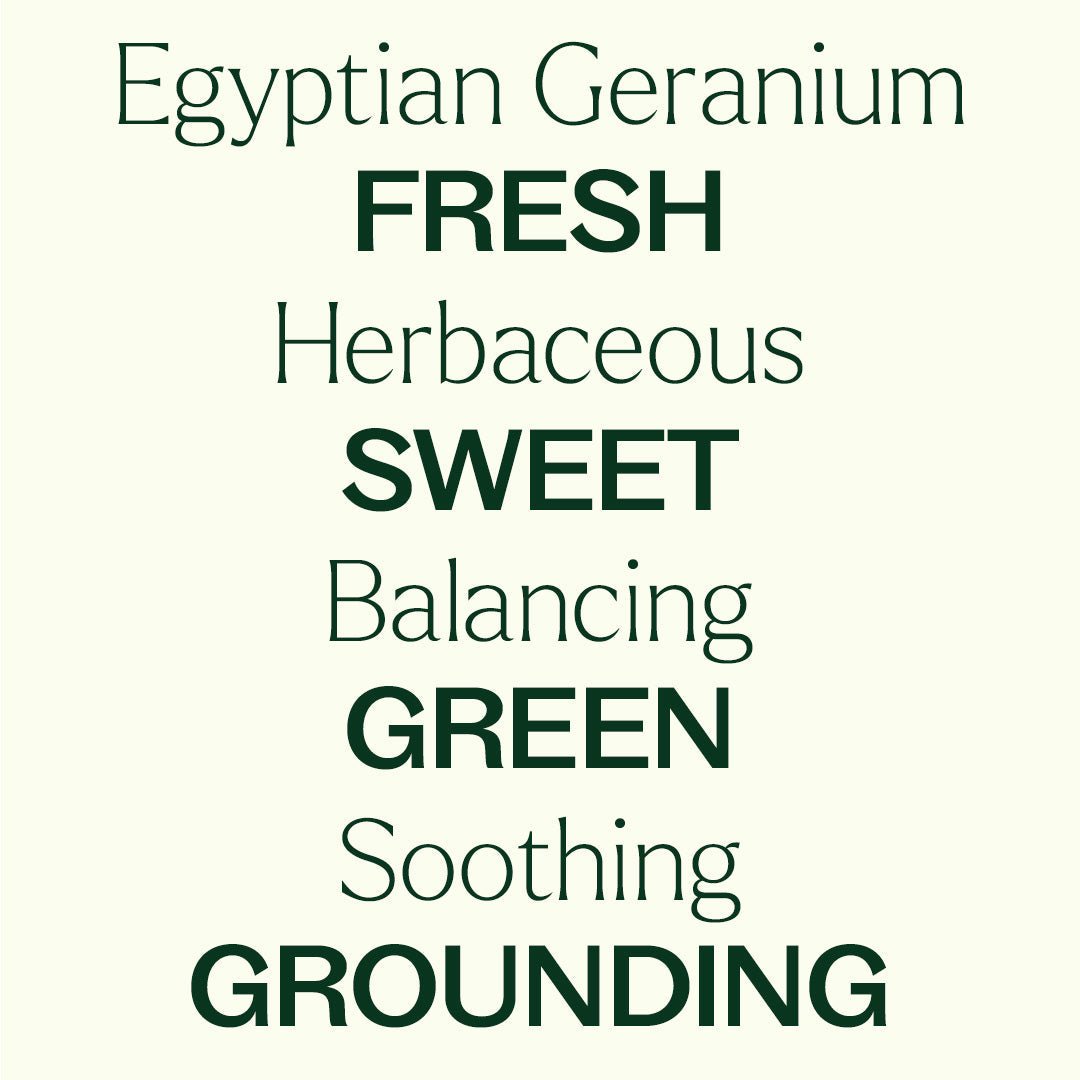 Organic Egyptian Geranium Essential Oil Plant Therapy