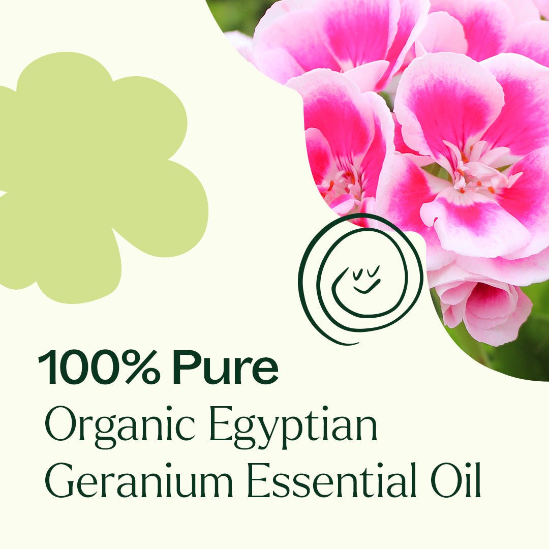 Organic Egyptian Geranium Essential Oil Plant Therapy