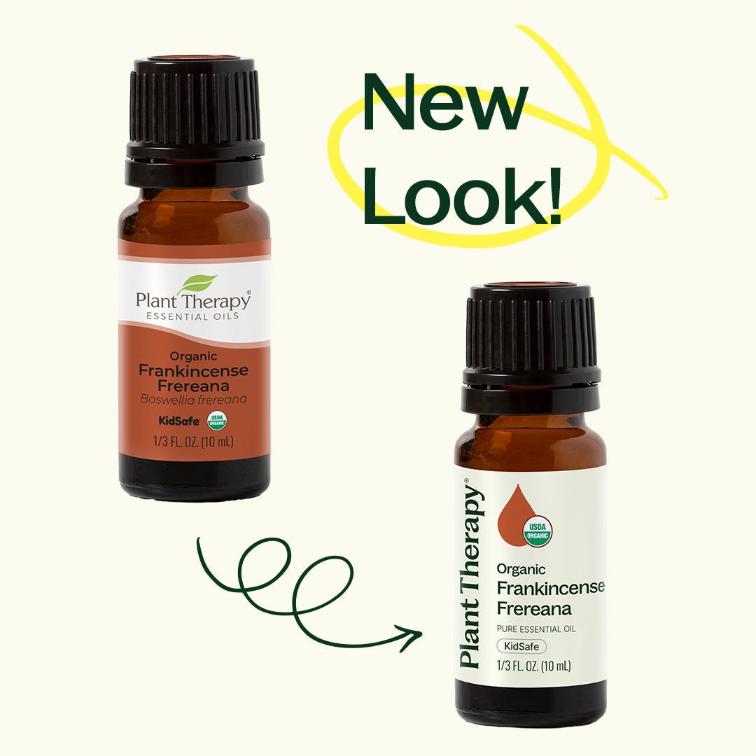 Organic Frankincense Frereana Essential Oil Plant Therapy
