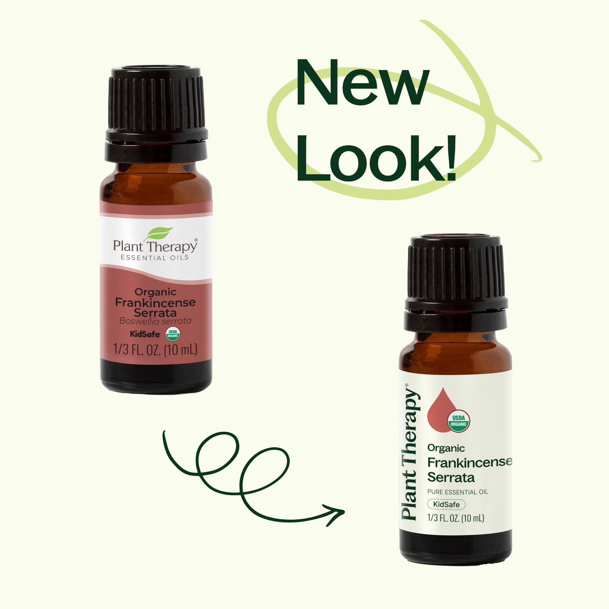 Organic Frankincense Serrata Essential Oil Plant Therapy