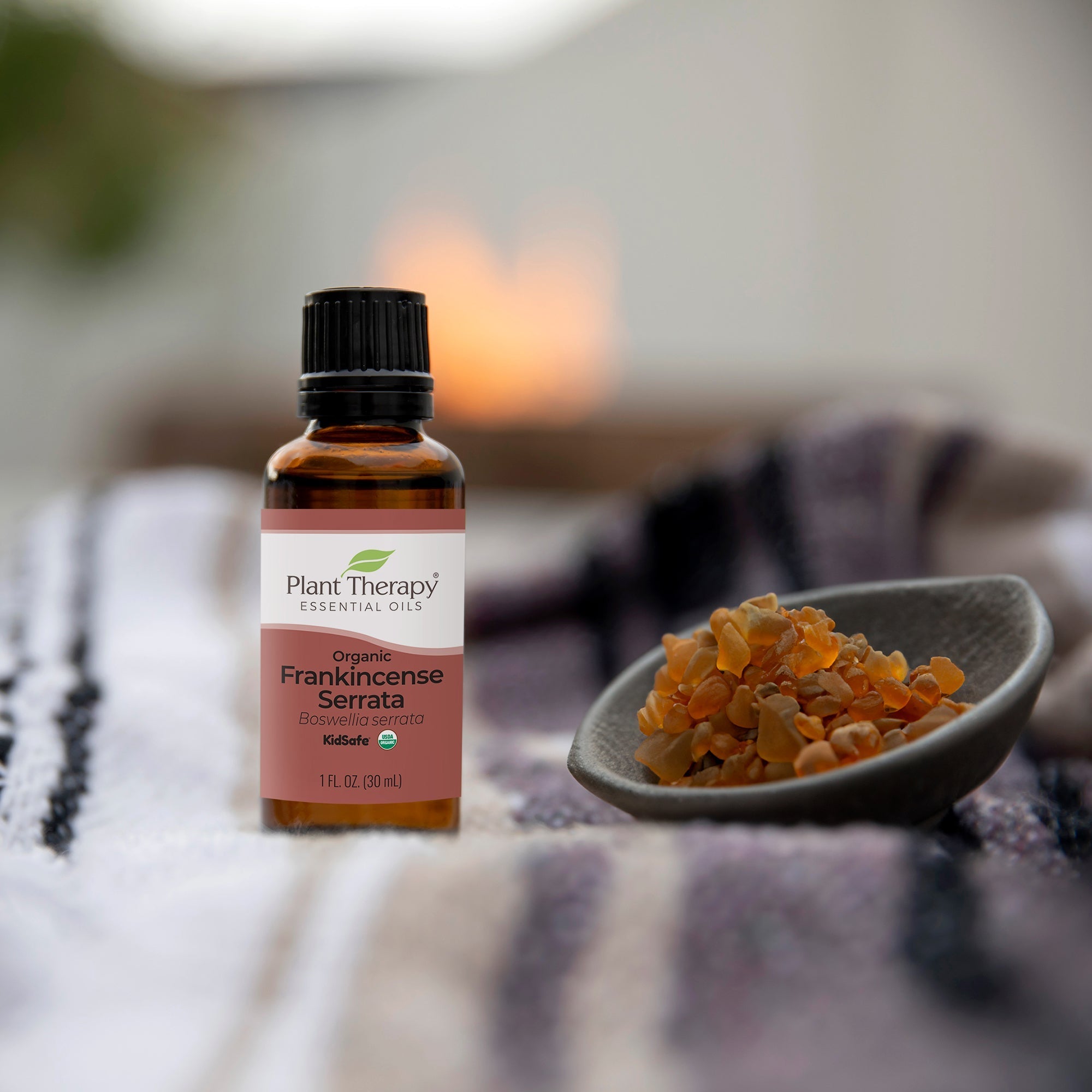 Organic Frankincense Serrata Essential Oil Plant Therapy