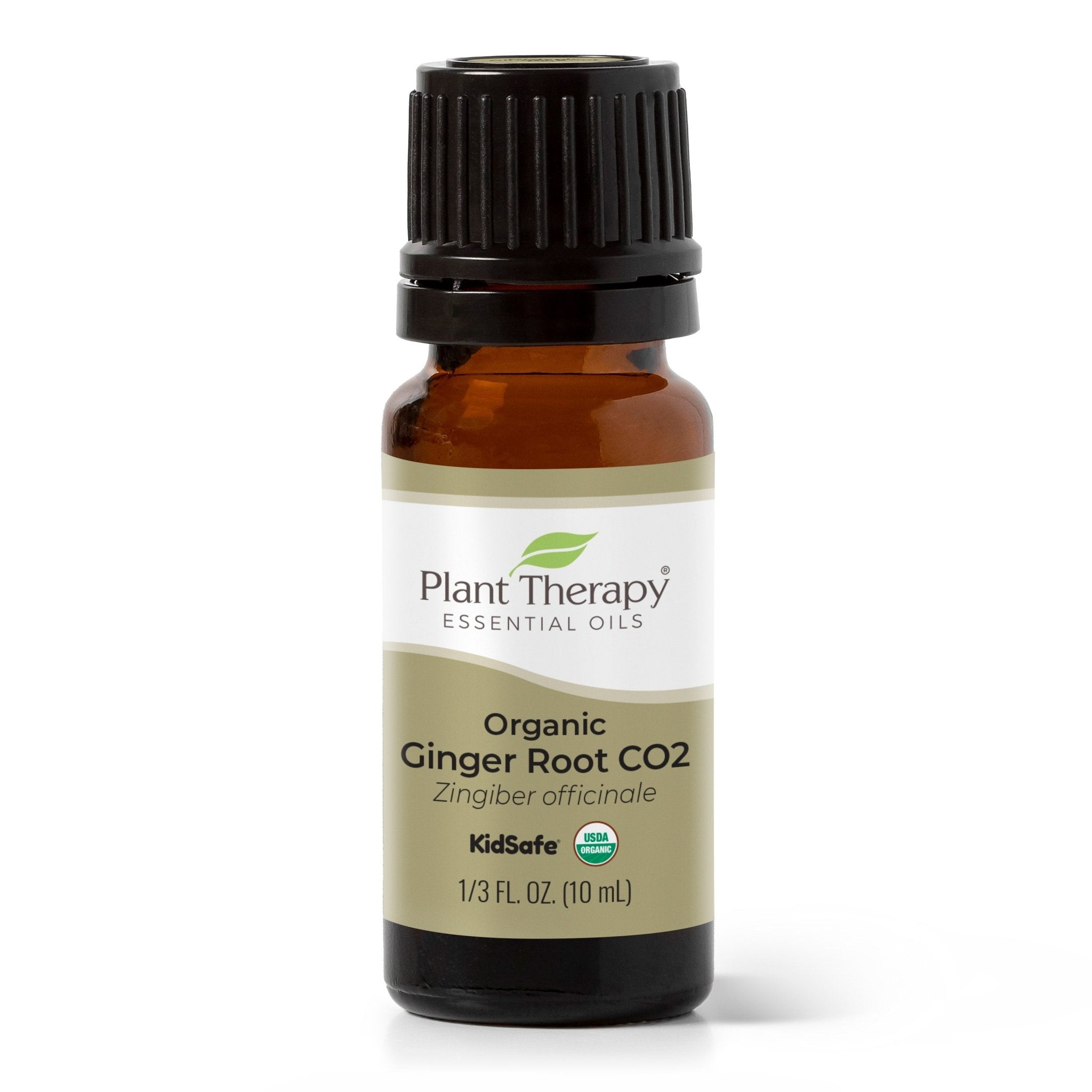 Organic Ginger Root CO2 Plant Therapy