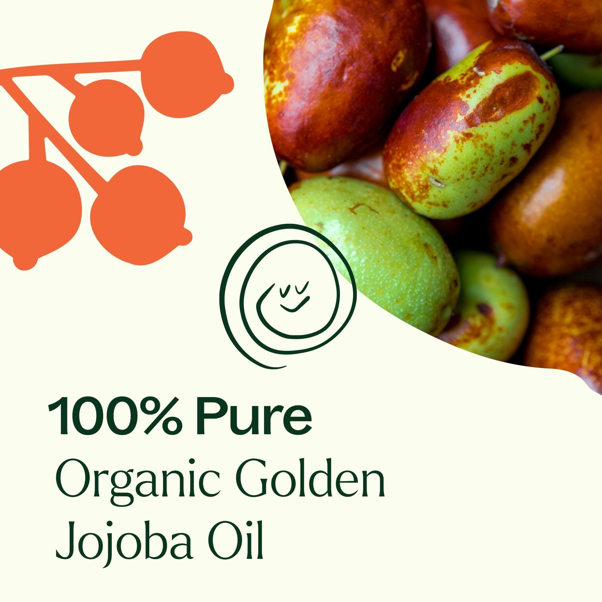 Organic Golden Jojoba Carrier Oil Plant Therapy