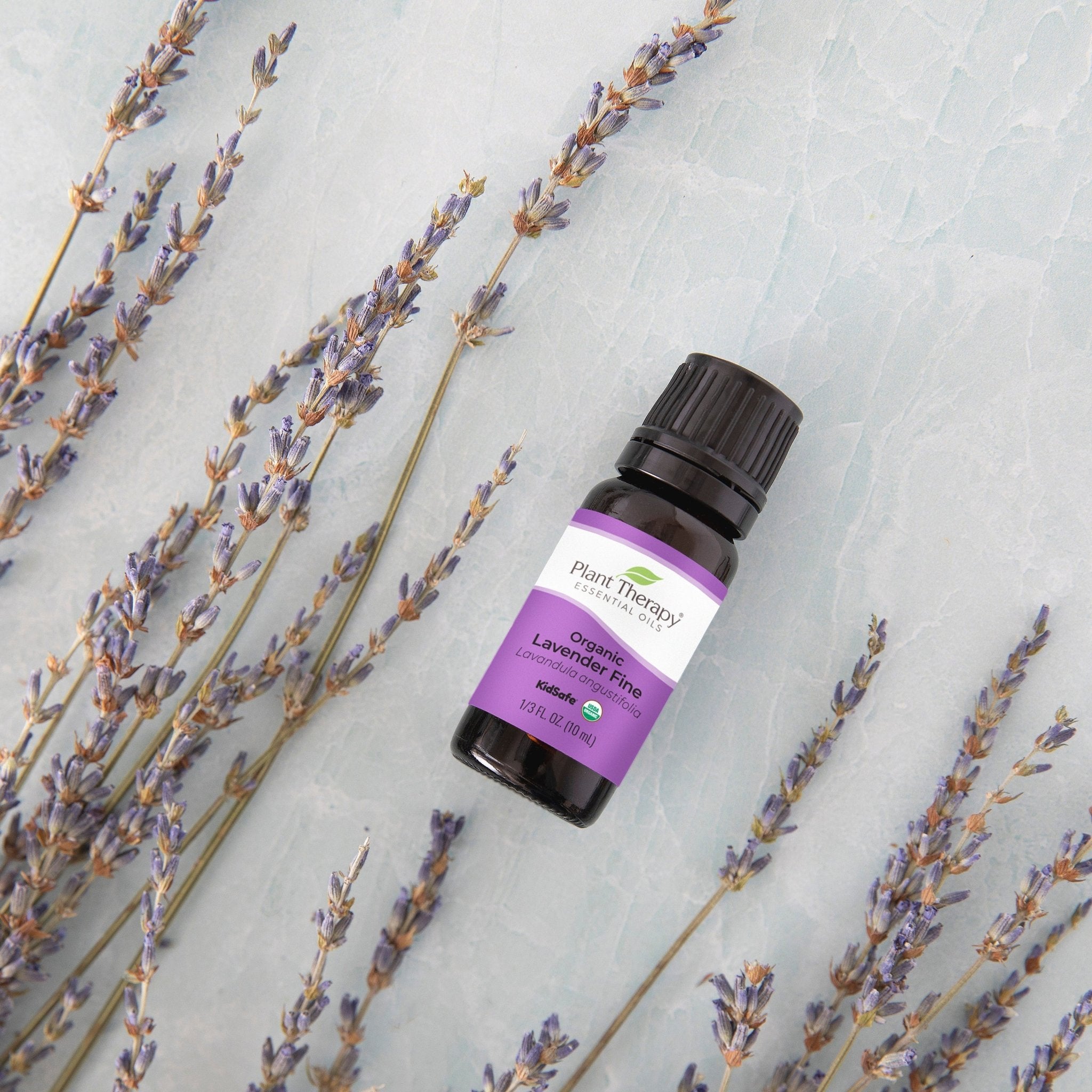 Organic Lavender Fine Essential Oil Plant Therapy