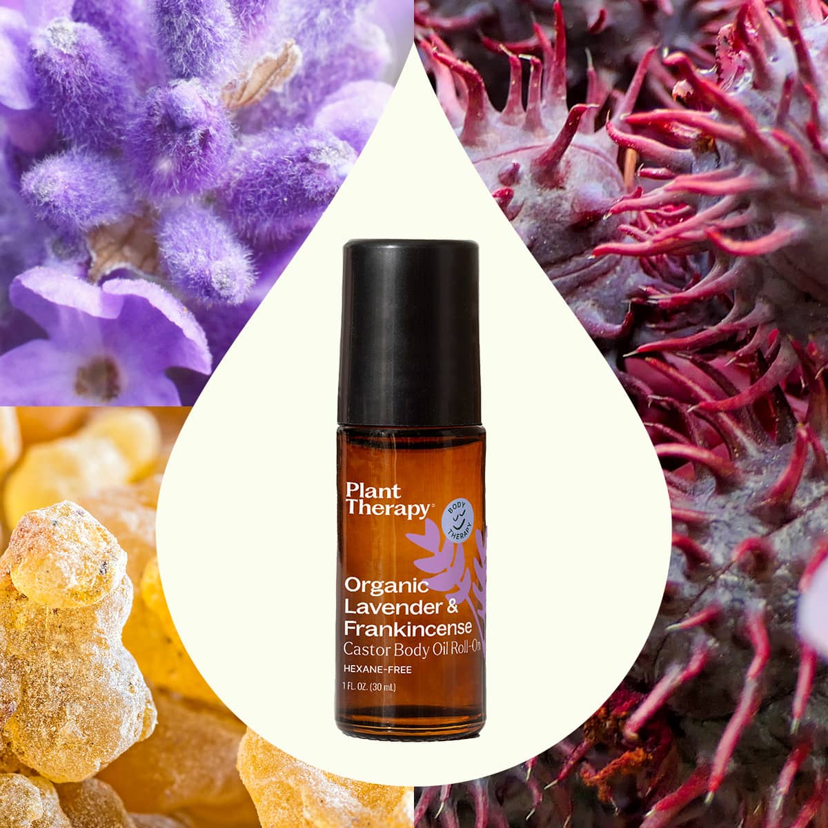 Organic Lavender & Frankincense Castor Body Oil Roll - On 30 mL Plant Therapy