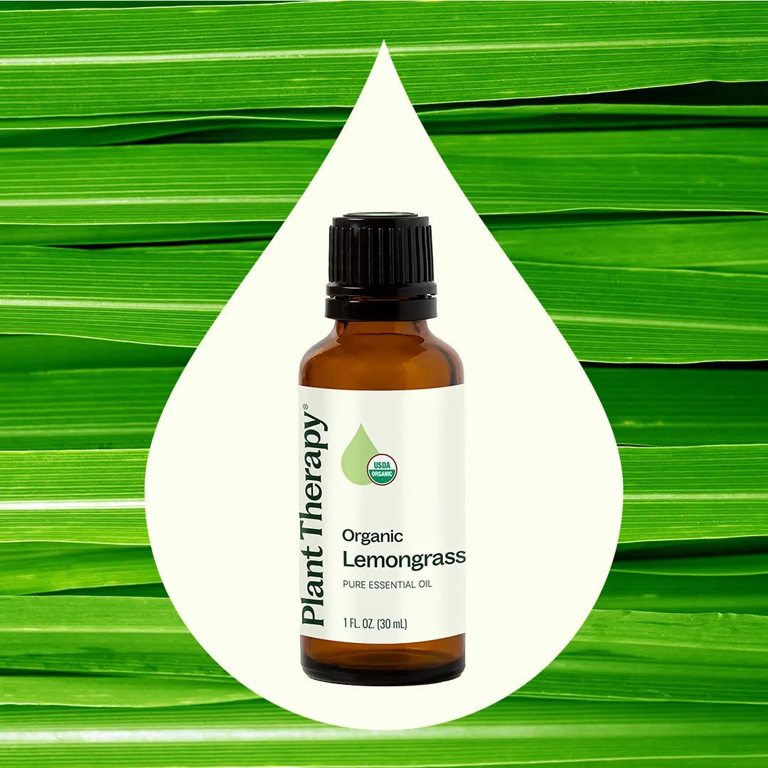 Organic Lemongrass Essential Oil Plant Therapy