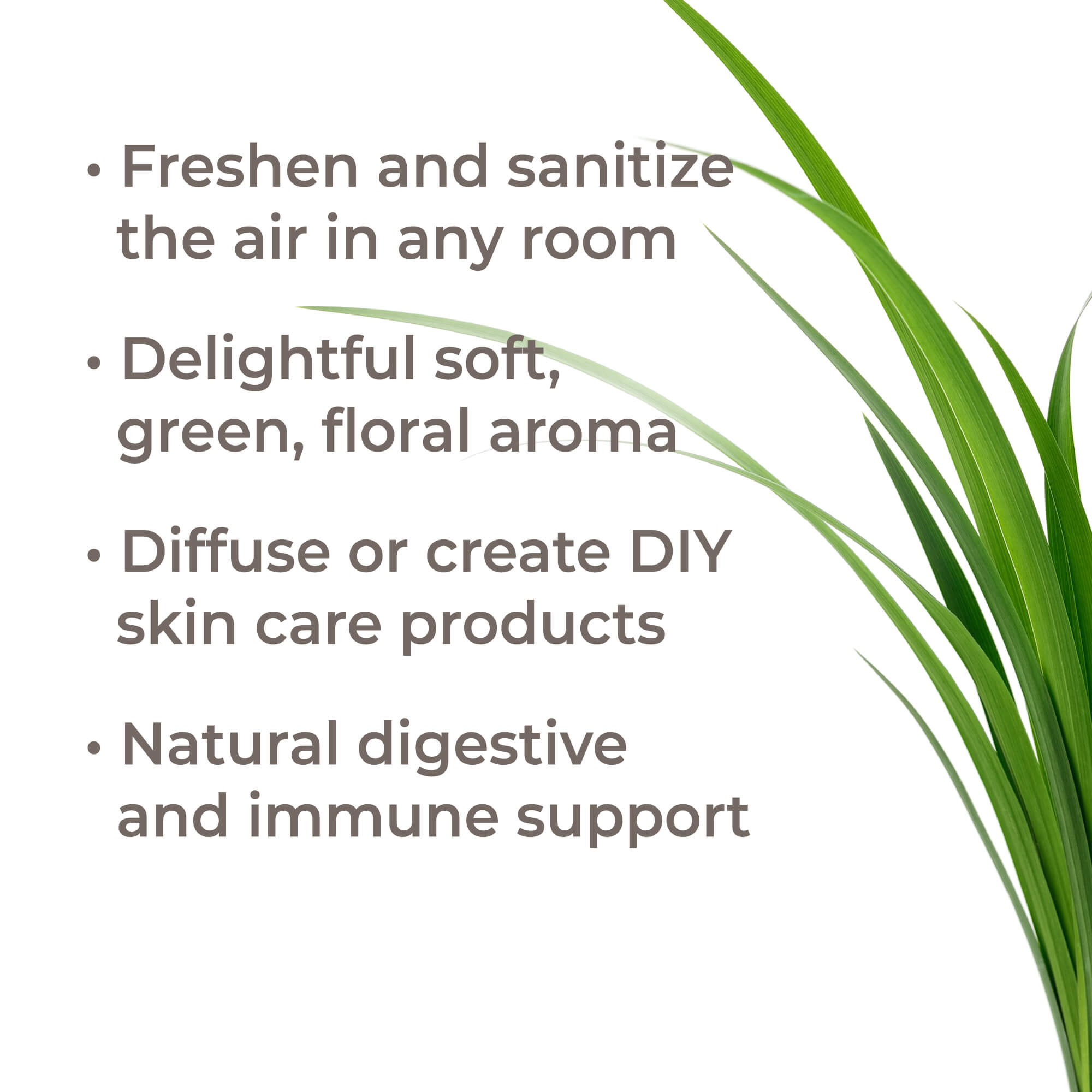 Organic Palmarosa Essential Oil Plant Therapy
