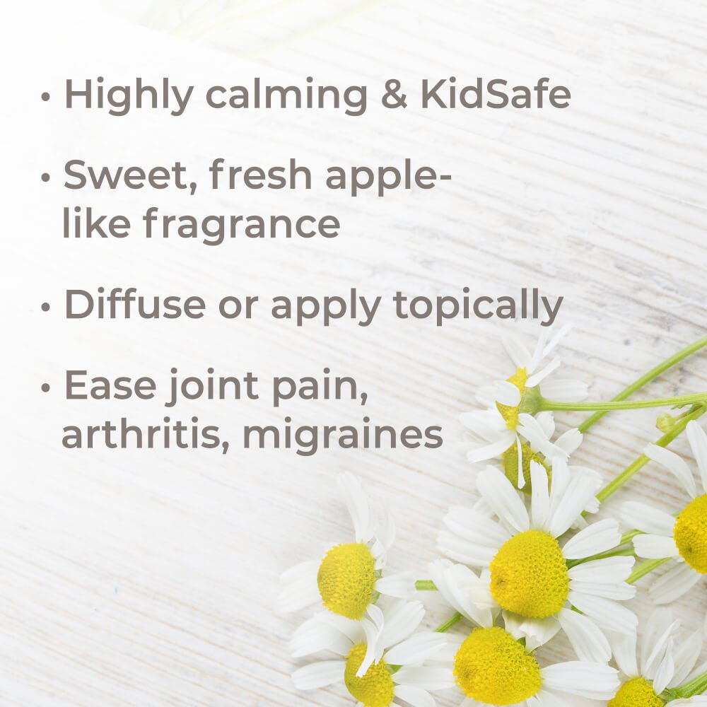 Organic Roman Chamomile Essential Oil Plant Therapy