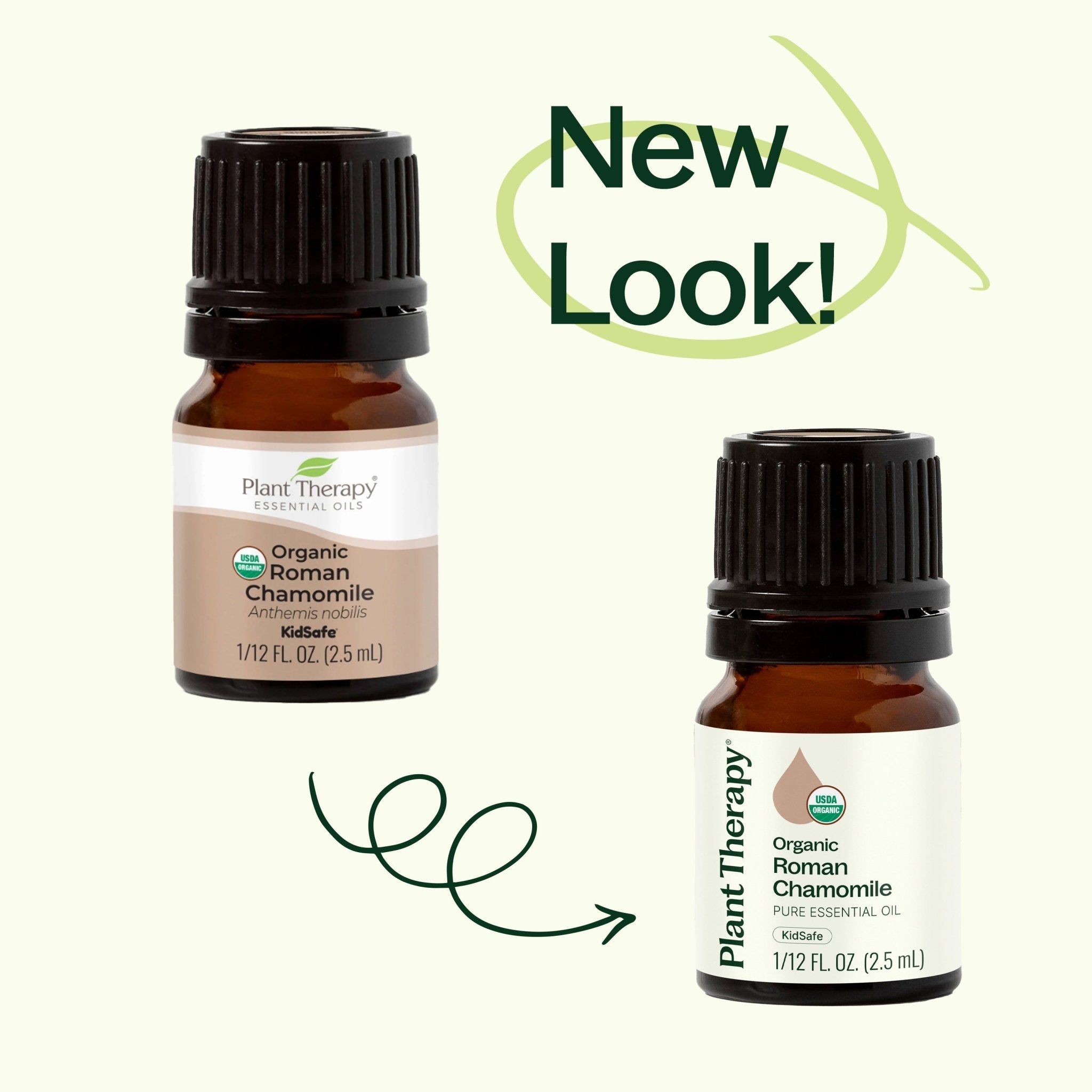 Organic Roman Chamomile Essential Oil Plant Therapy