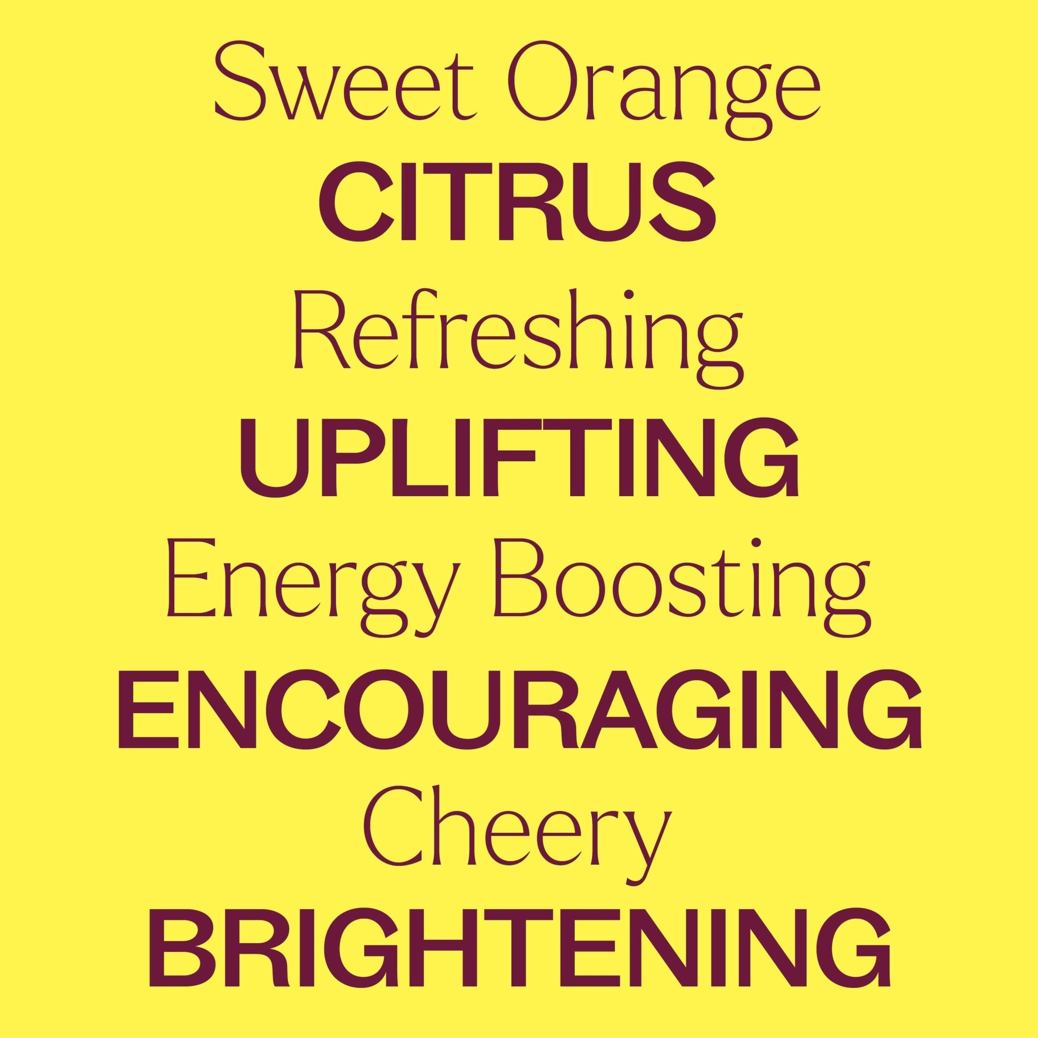 Organic Sweet Orange Essential Oil Plant Therapy