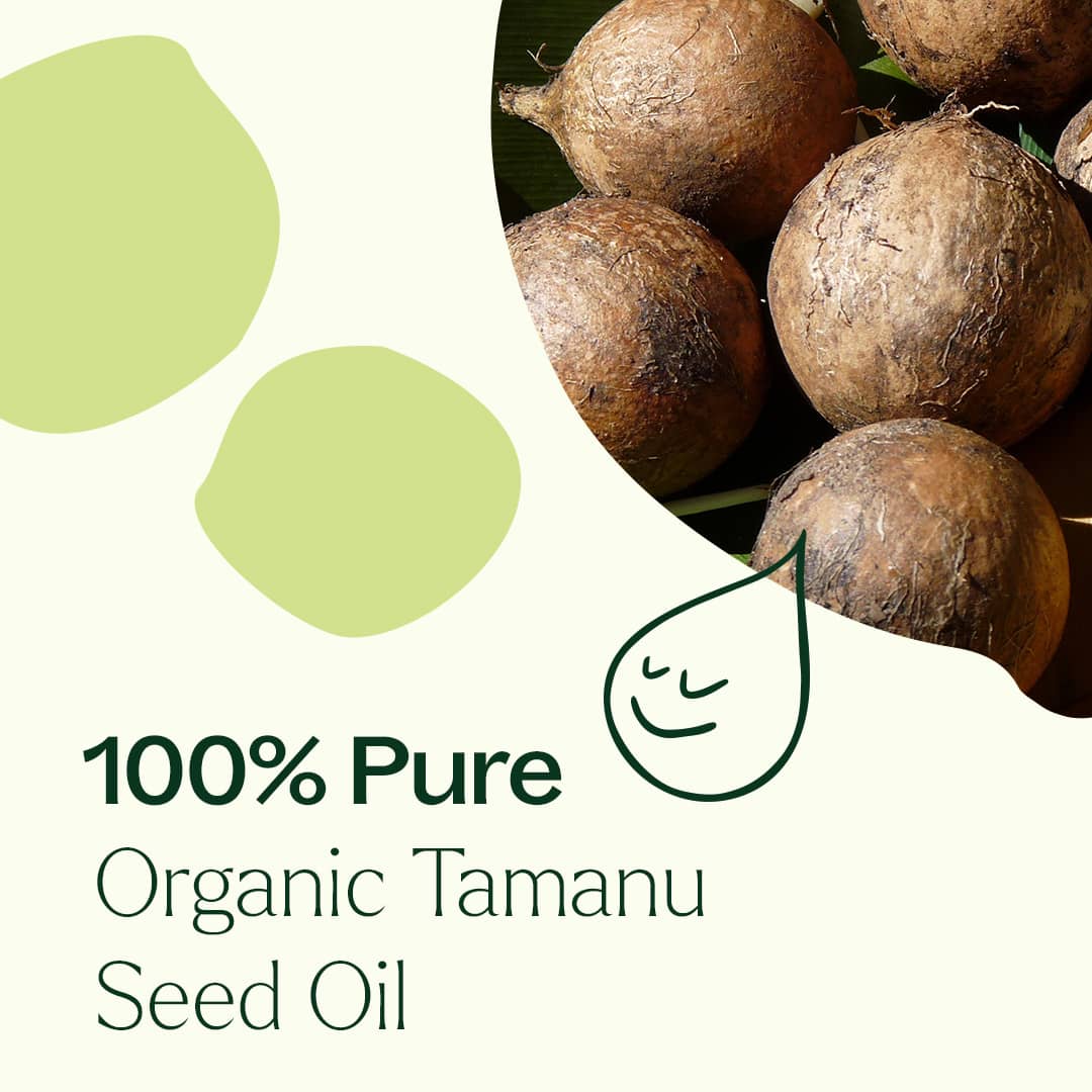 Organic Tamanu Carrier Oil 4 oz Plant Therapy