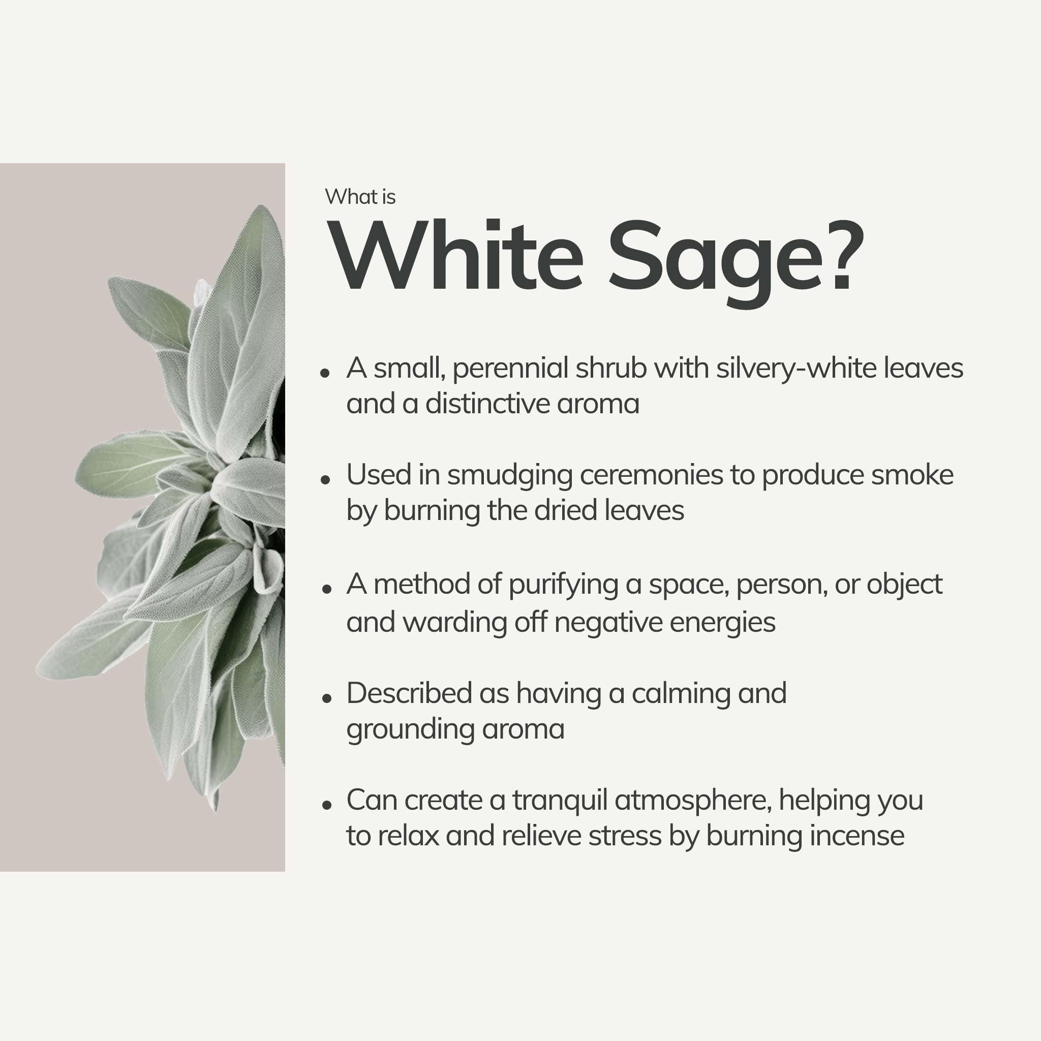 Organic White Sage Smudge Stick - Mini CEDAR AND MYRRH