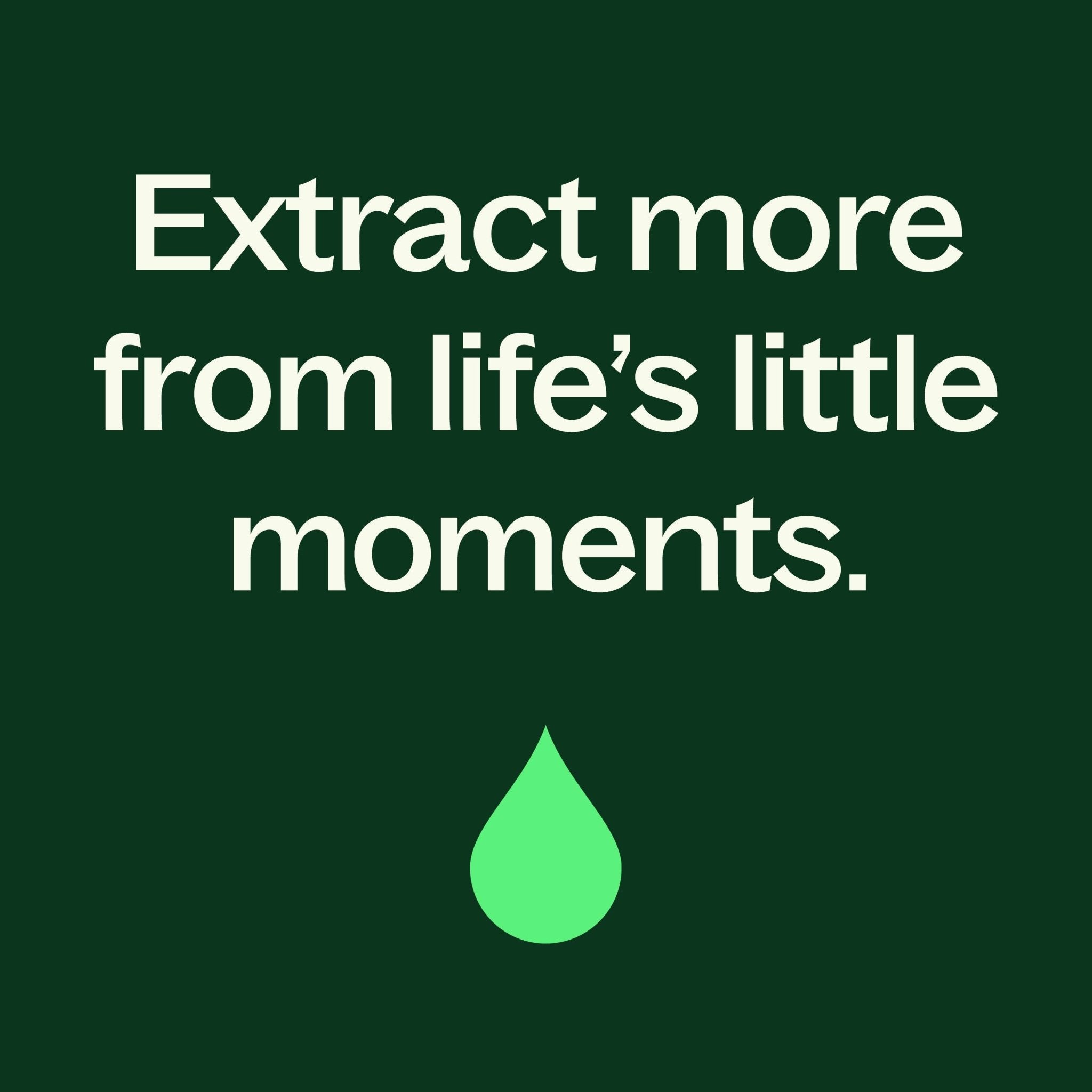 Palmarosa Essential Oil Plant Therapy