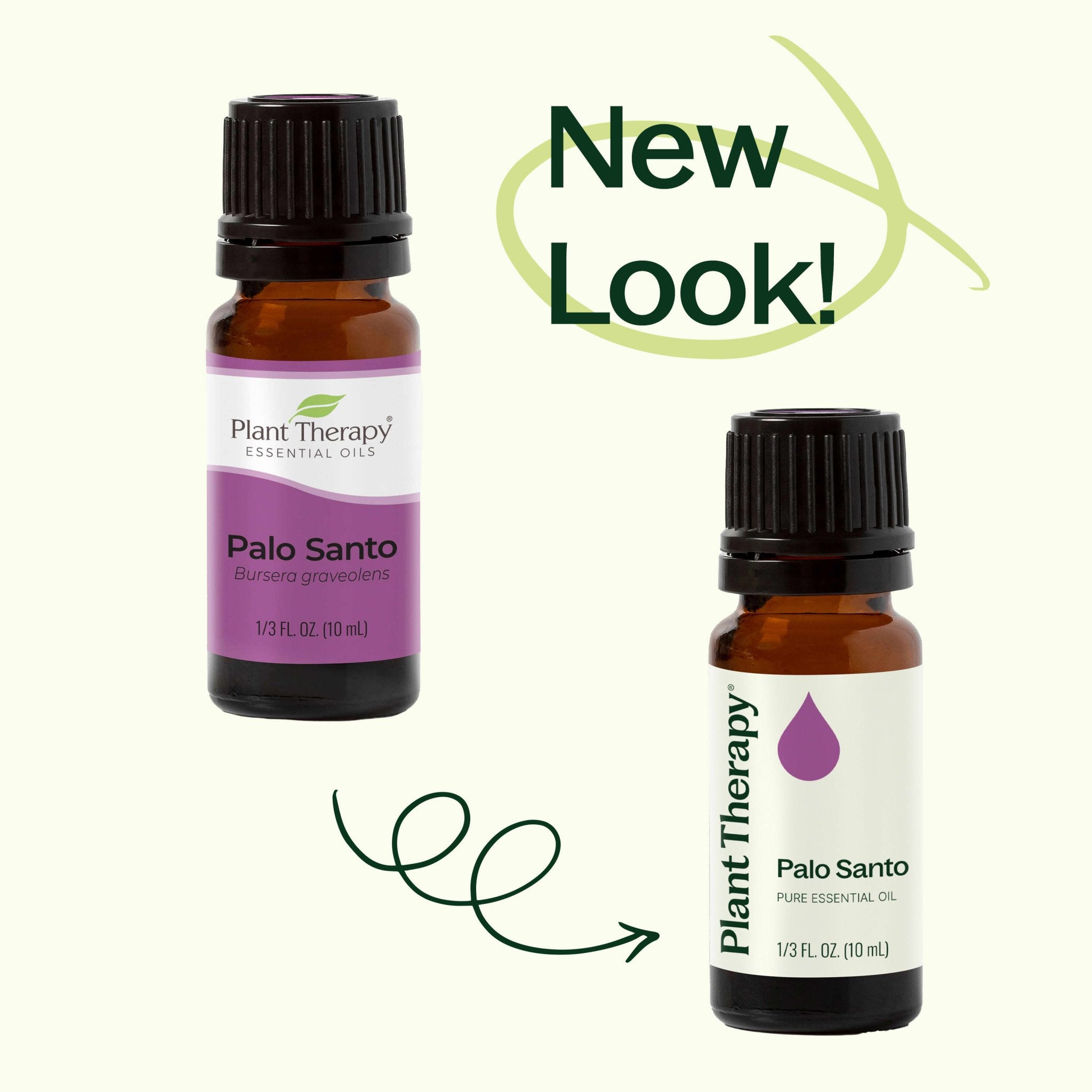 Palo Santo Essential Oil Plant Therapy