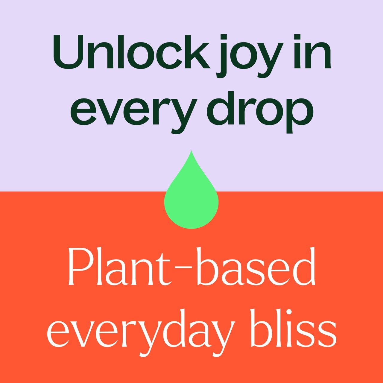 Patchouli Essential Oil Plant Therapy
