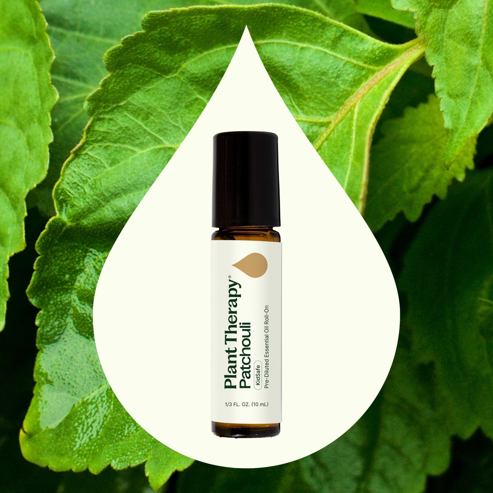 Patchouli Essential Oil Pre - Diluted Roll - On Plant Therapy