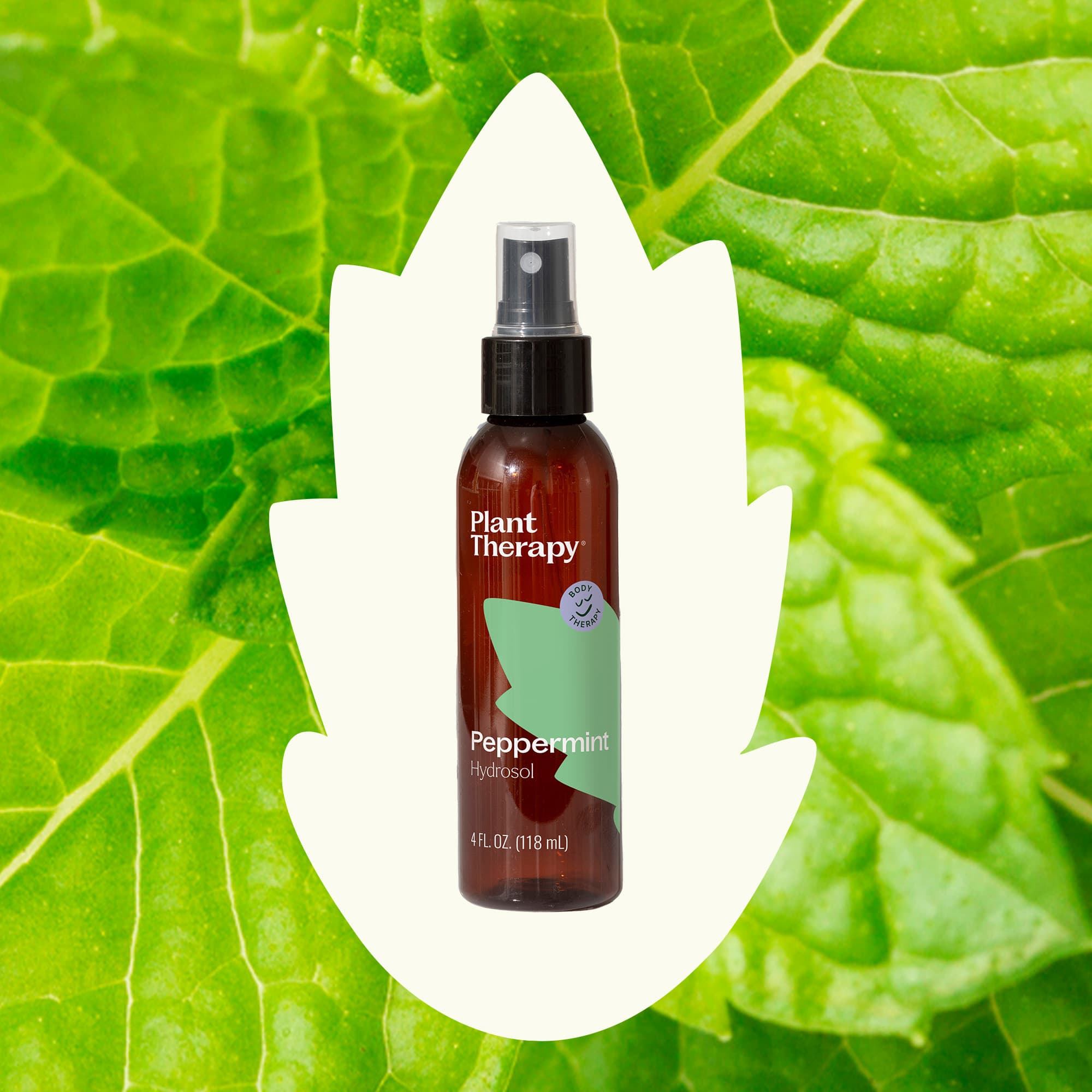 Peppermint Hydrosol Plant Therapy