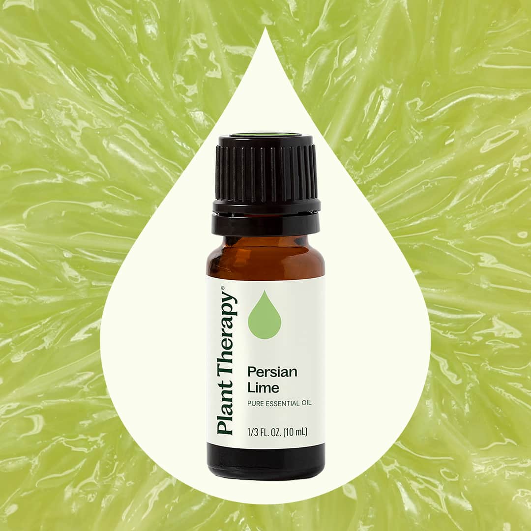 Persian Lime Essential Oil Plant Therapy