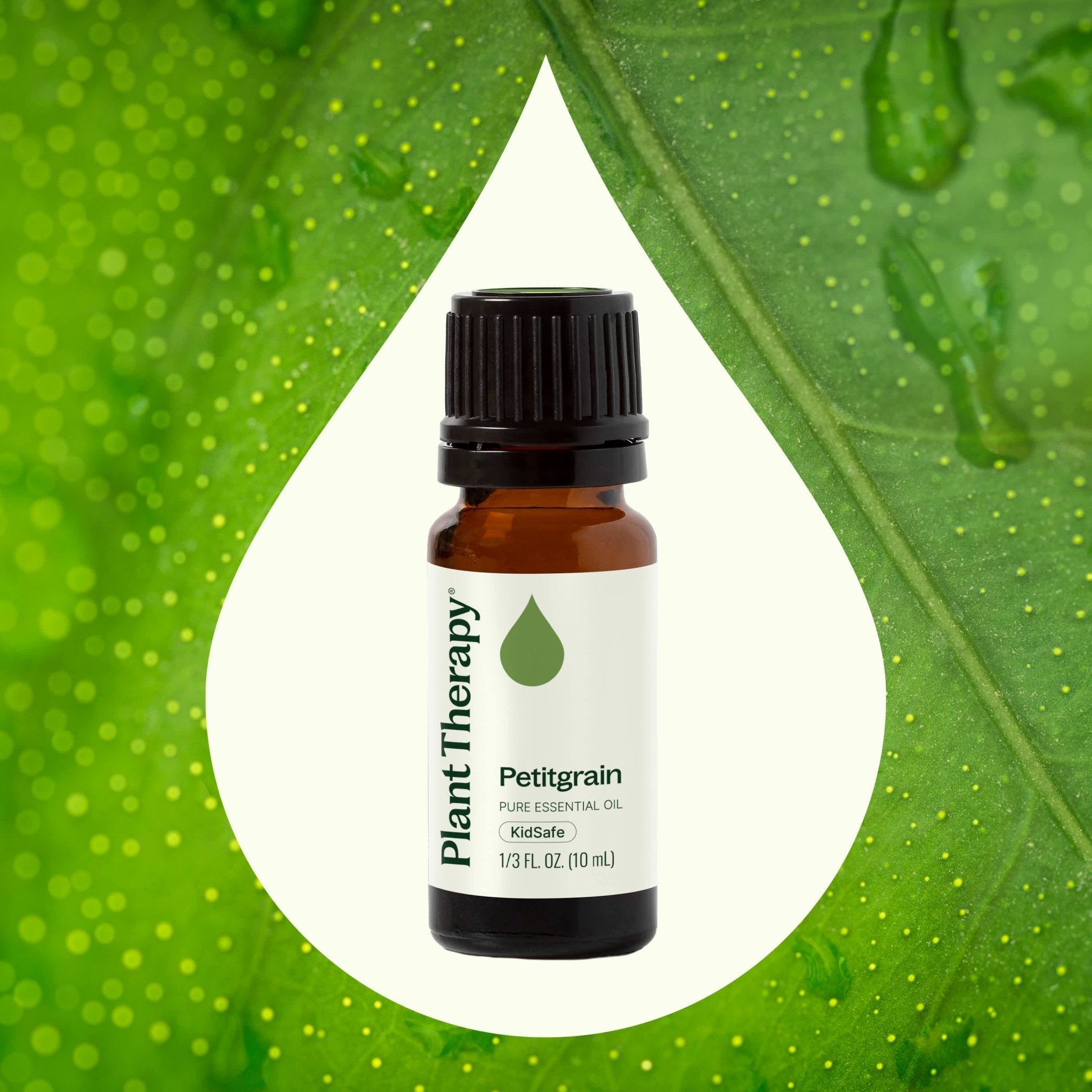 Petitgrain Essential Oil Plant Therapy