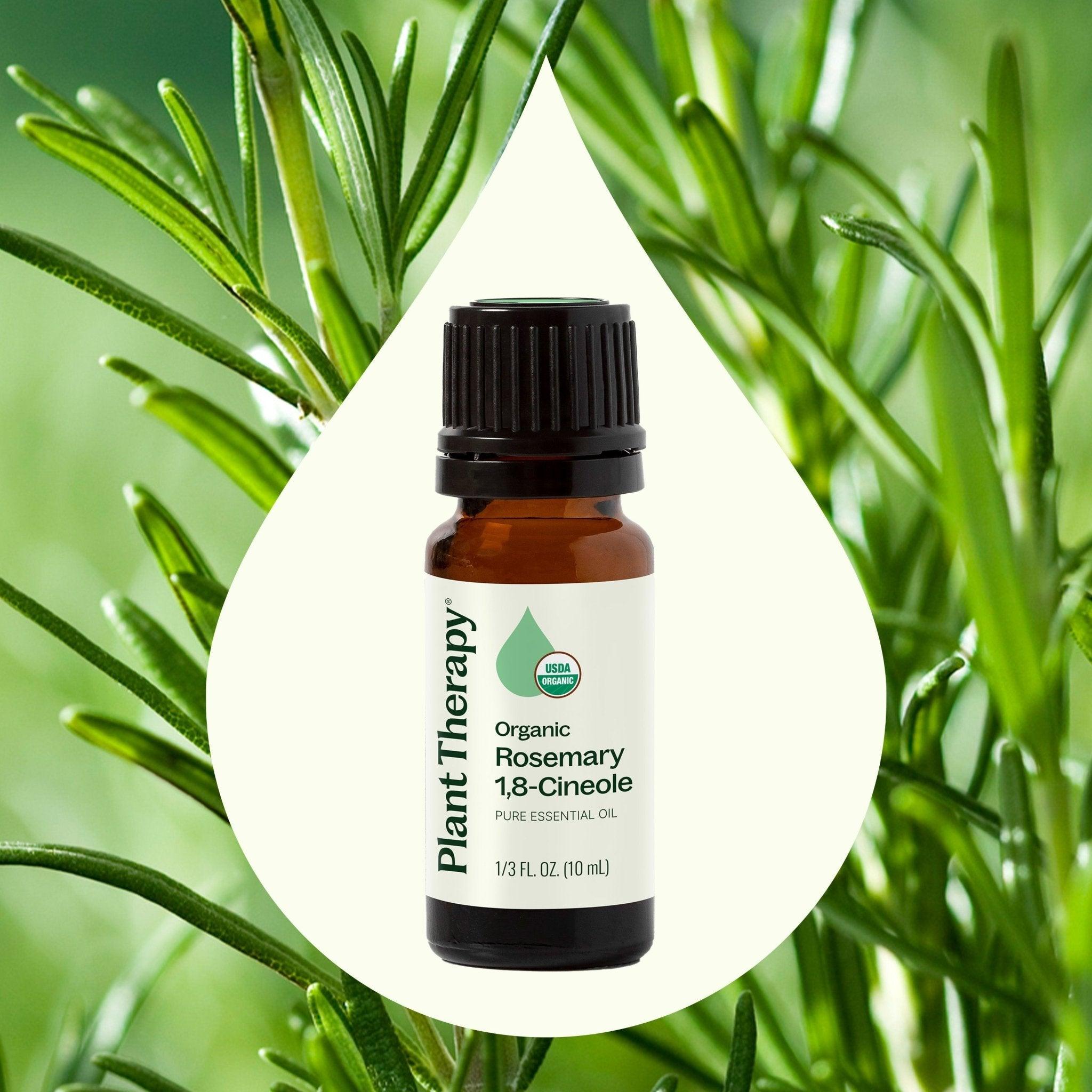 Plant Therapy Organic Rosemary 1,8 - Cineole Essential Oil