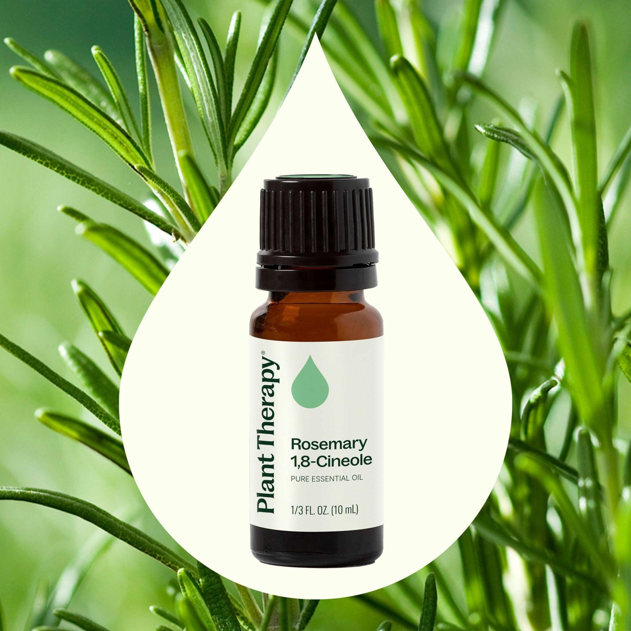 Plant Therapy Rosemary 1,8 - Cineole Essential Oil