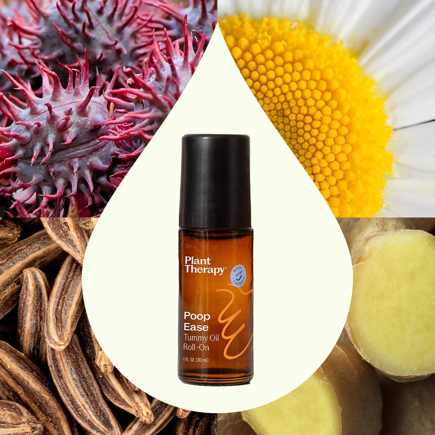 PoopEase Tummy Oil Roll - On Plant Therapy