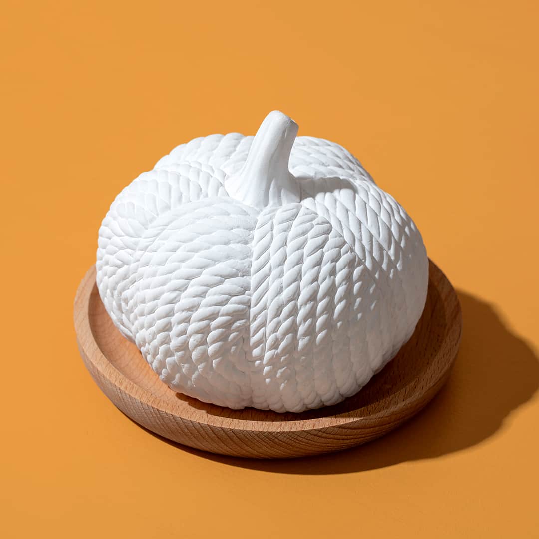 Pumpkin Passive Diffuser Plant Therapy