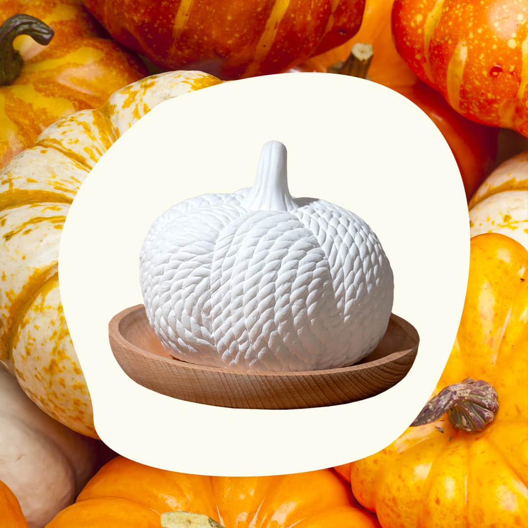 Pumpkin Passive Diffuser Plant Therapy