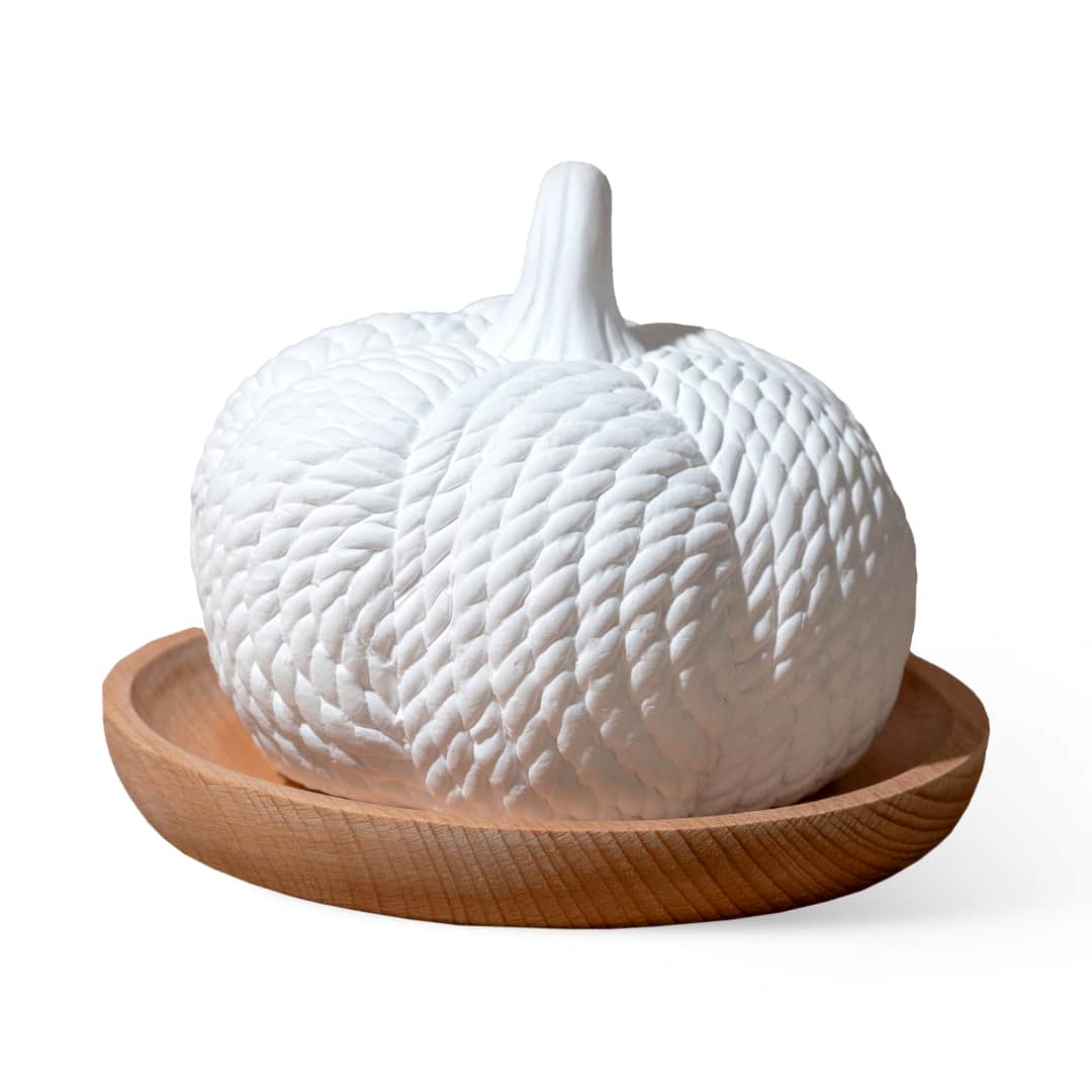 Pumpkin Passive Diffuser Plant Therapy