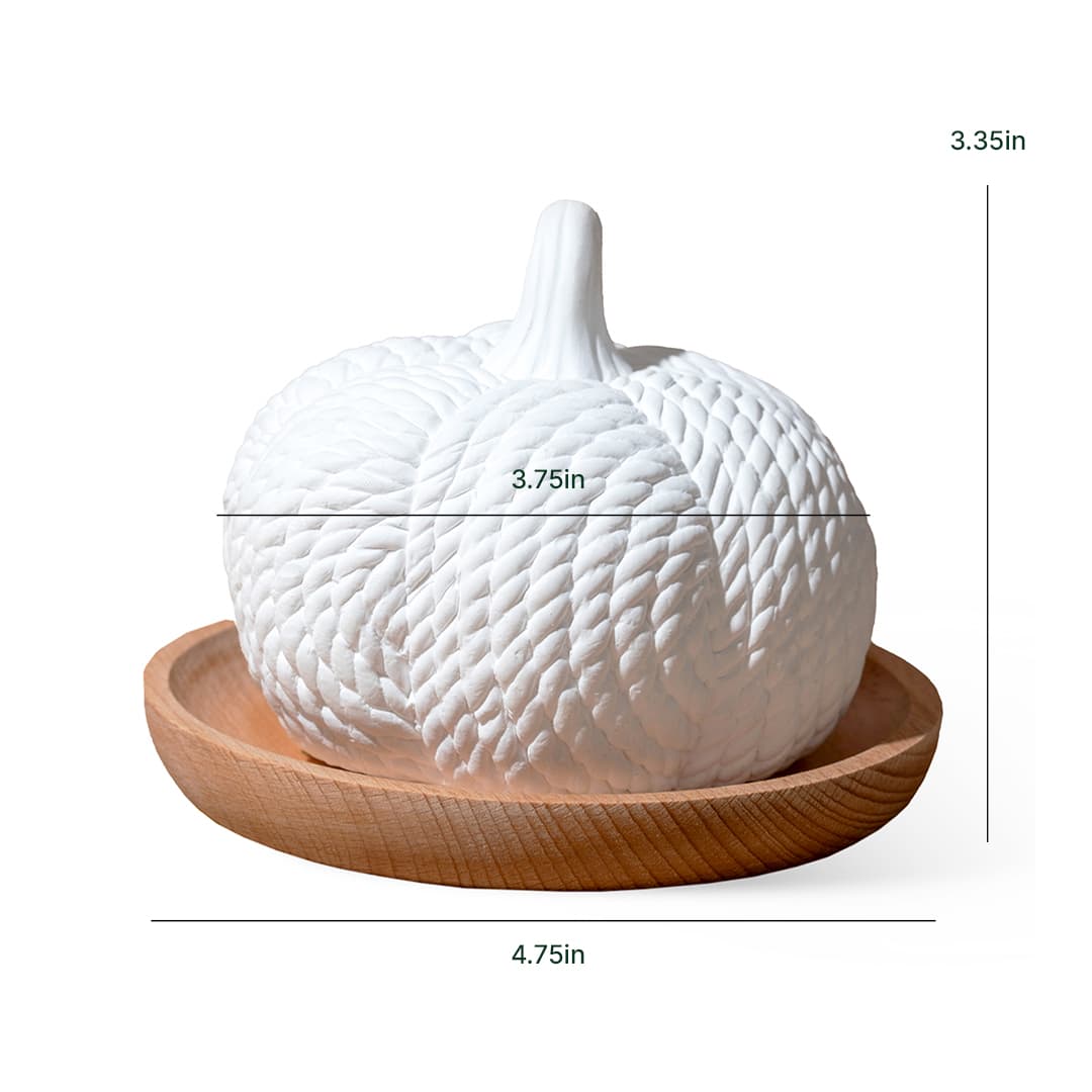 Pumpkin Passive Diffuser Plant Therapy