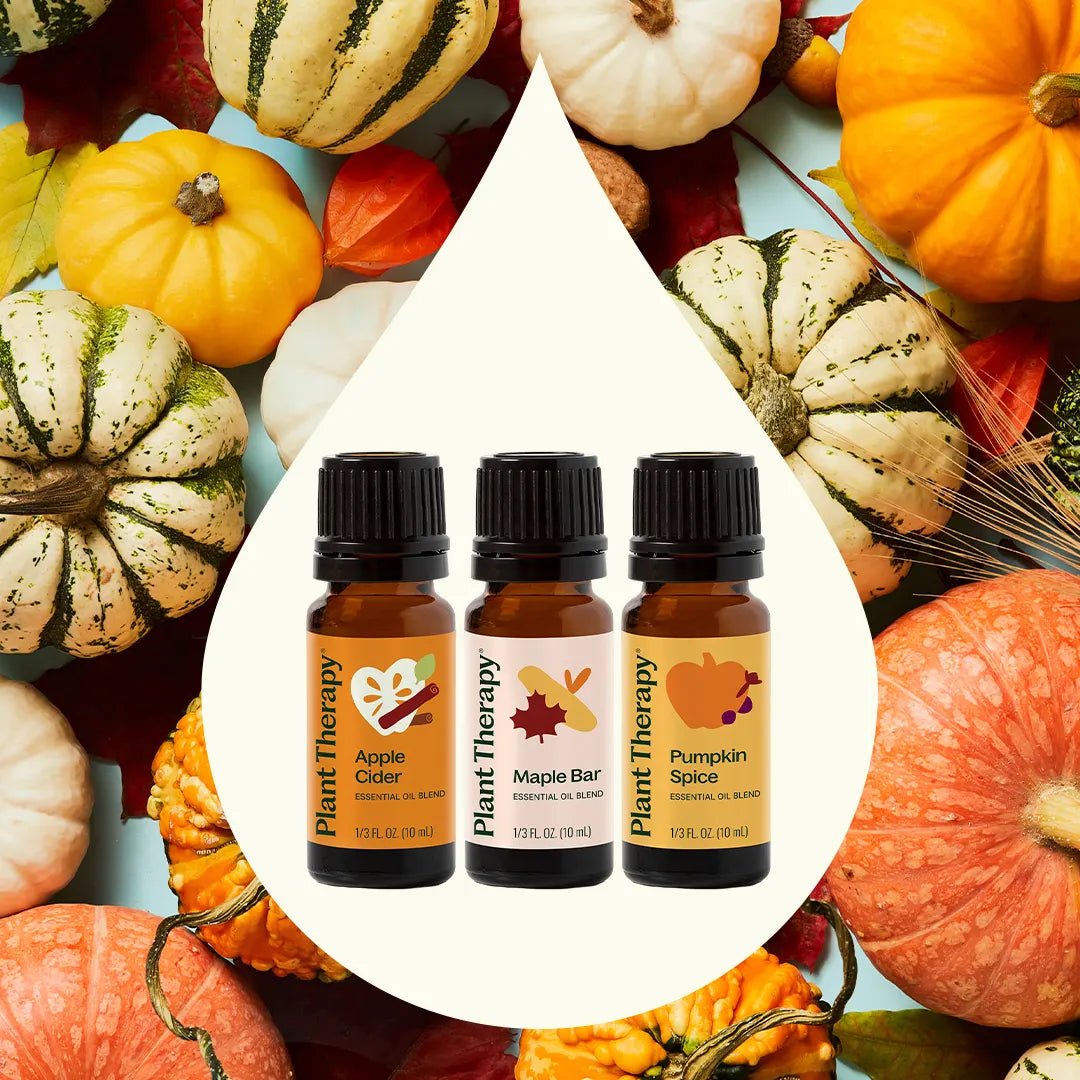 Pumpkins & Porch Swings Essential Oil Blend 3 Set Plant Therapy