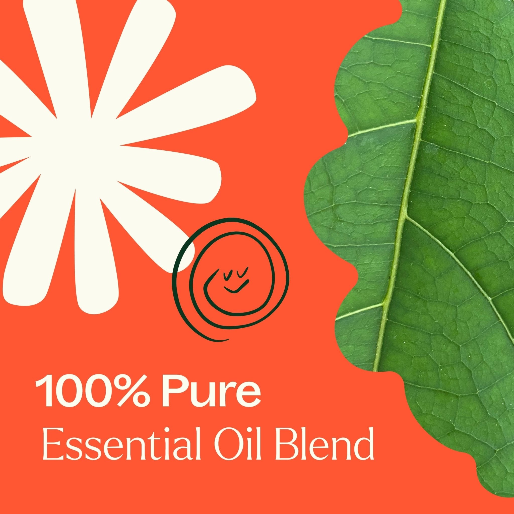 Rapid Relief Essential Oil Blend Plant Therapy