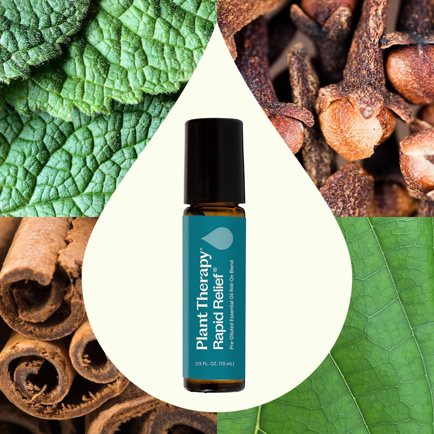 Rapid Relief Essential Oil Blend Pre - Diluted Roll - On Plant Therapy