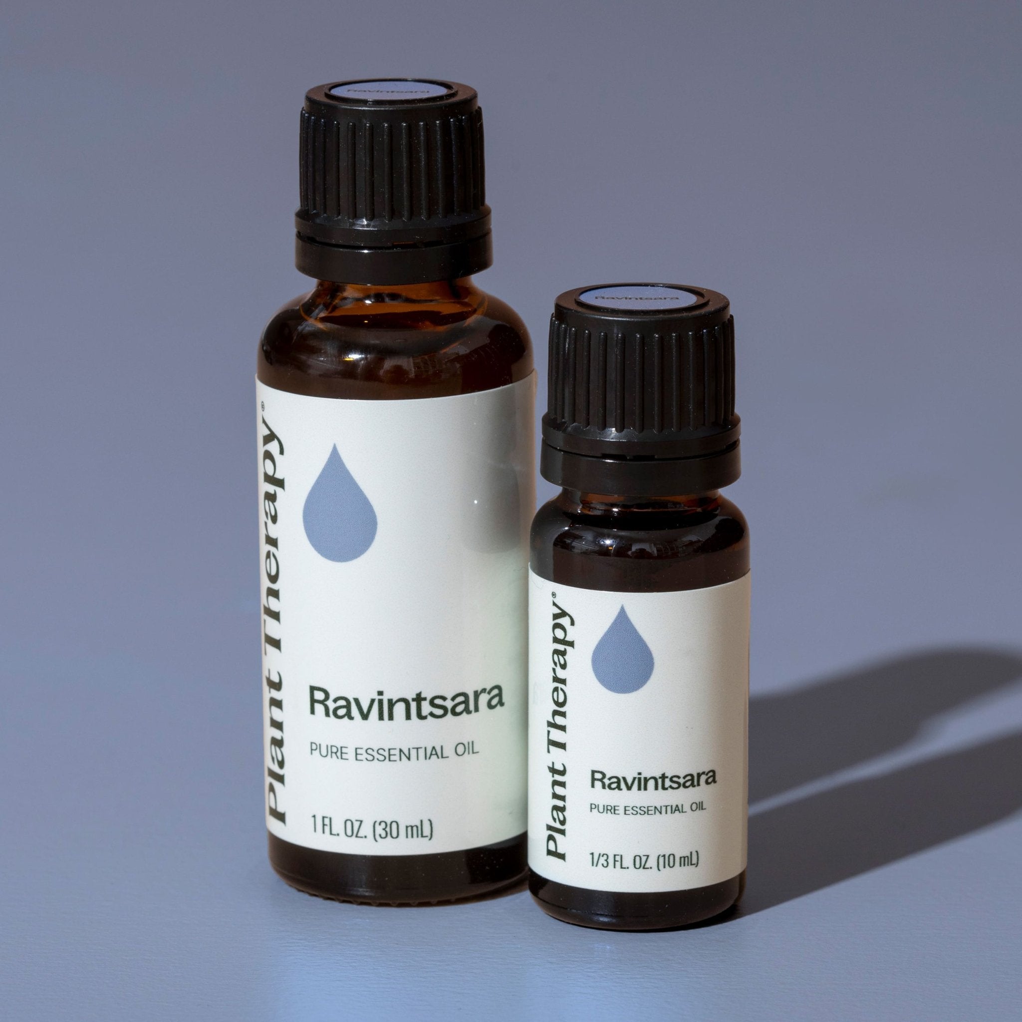 Ravintsara Essential Oil Plant Therapy