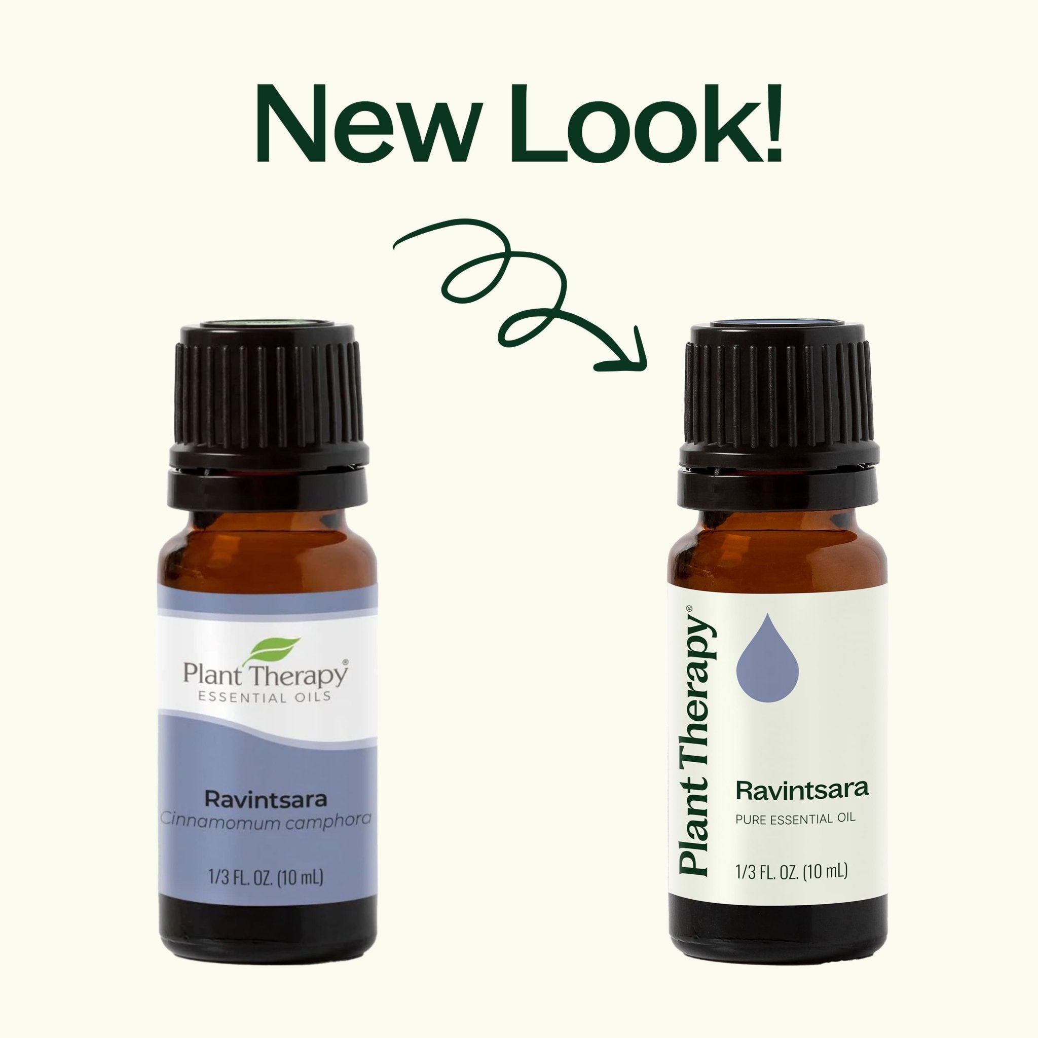 Ravintsara Essential Oil Plant Therapy