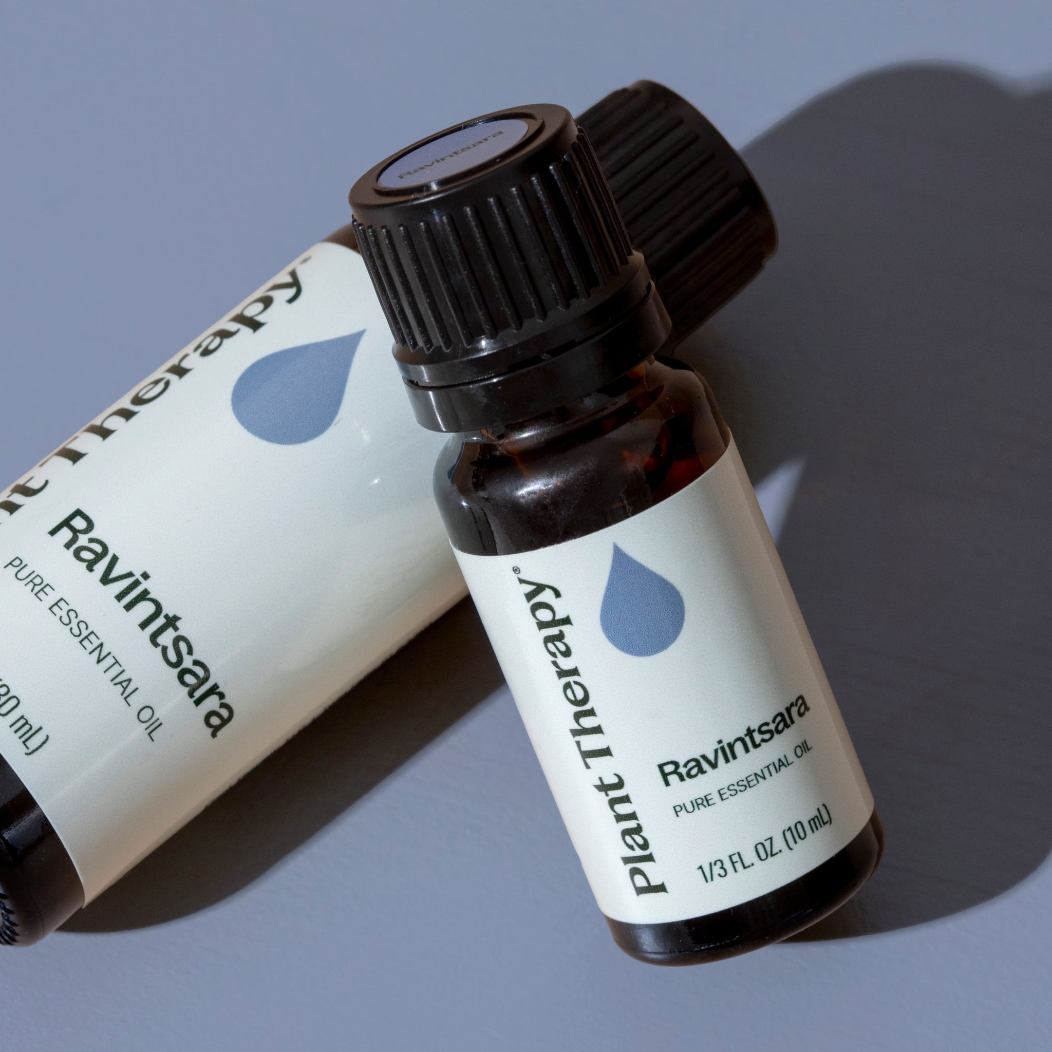 Ravintsara Essential Oil Plant Therapy