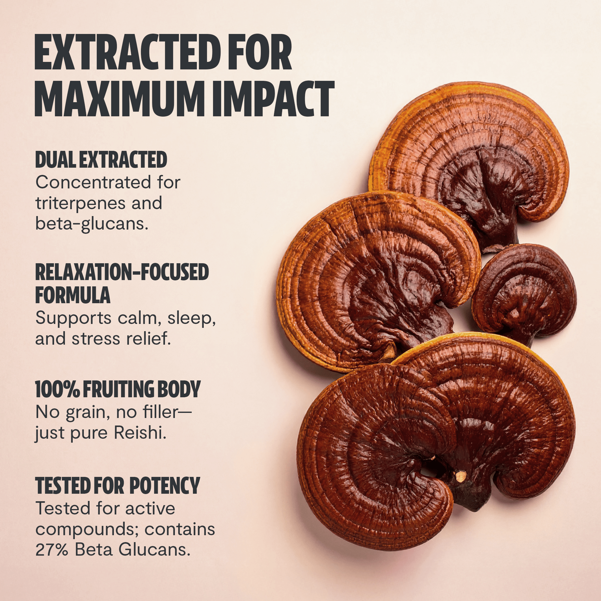 Reishi Mushroom Extract Capsules FreshCap Mushrooms