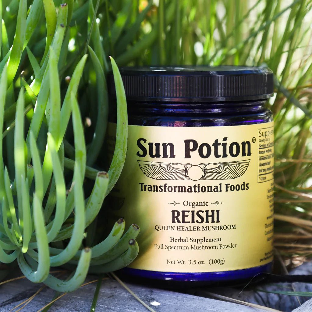 Reishi Mushroom Powder (Organic) Sun Potion