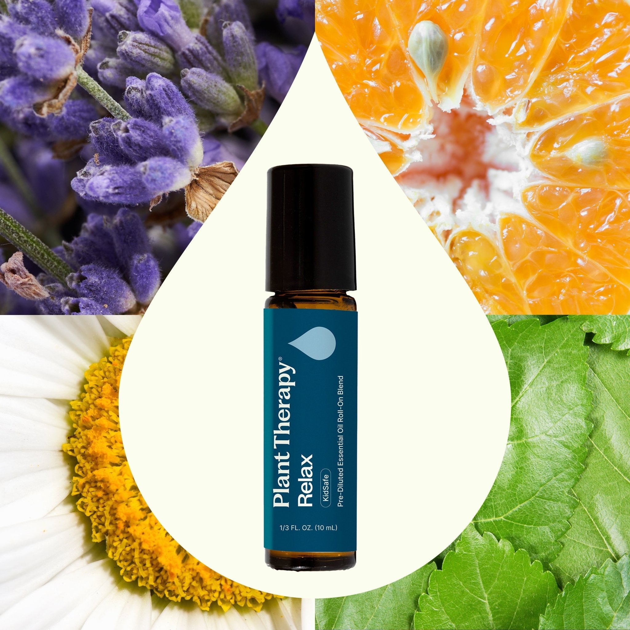 Relax Essential Oil Blend Pre - Diluted Roll - On Plant Therapy