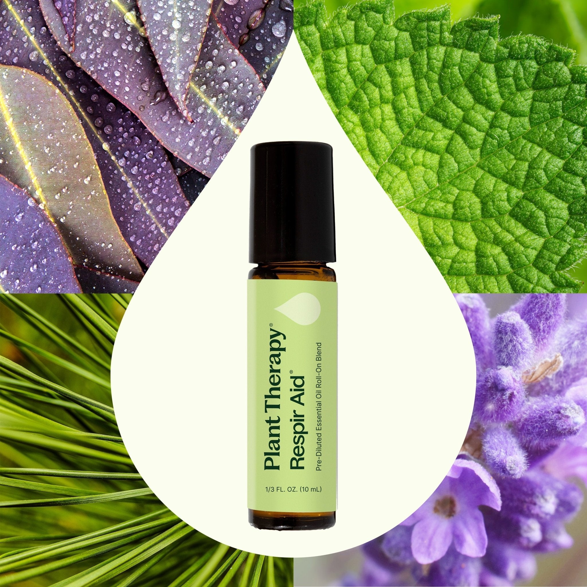 Respir Aid Essential Oil Blend Pre - Diluted Roll - On Plant Therapy