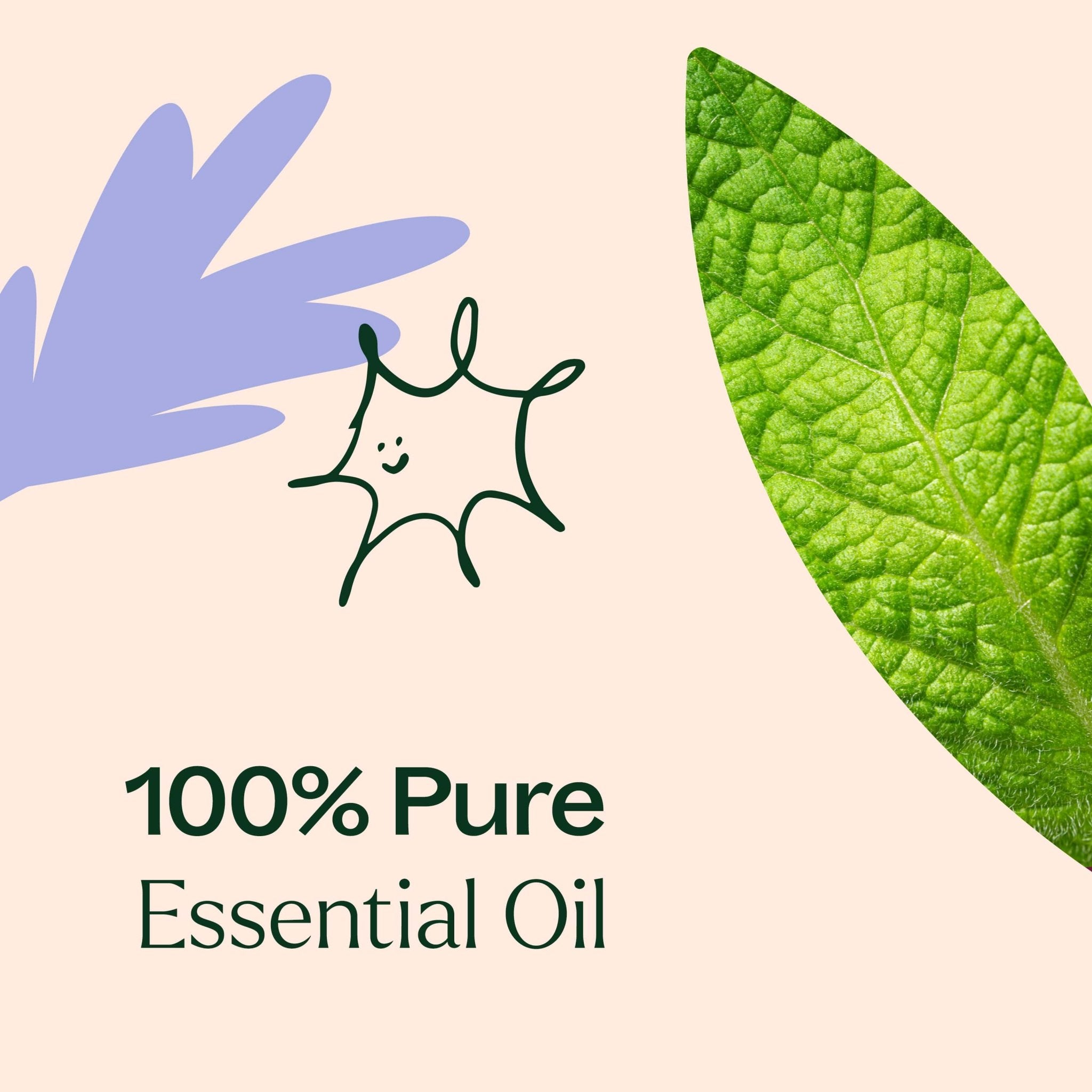 Respir Aid Essential Oil Blend Pre - Diluted Roll - On Plant Therapy